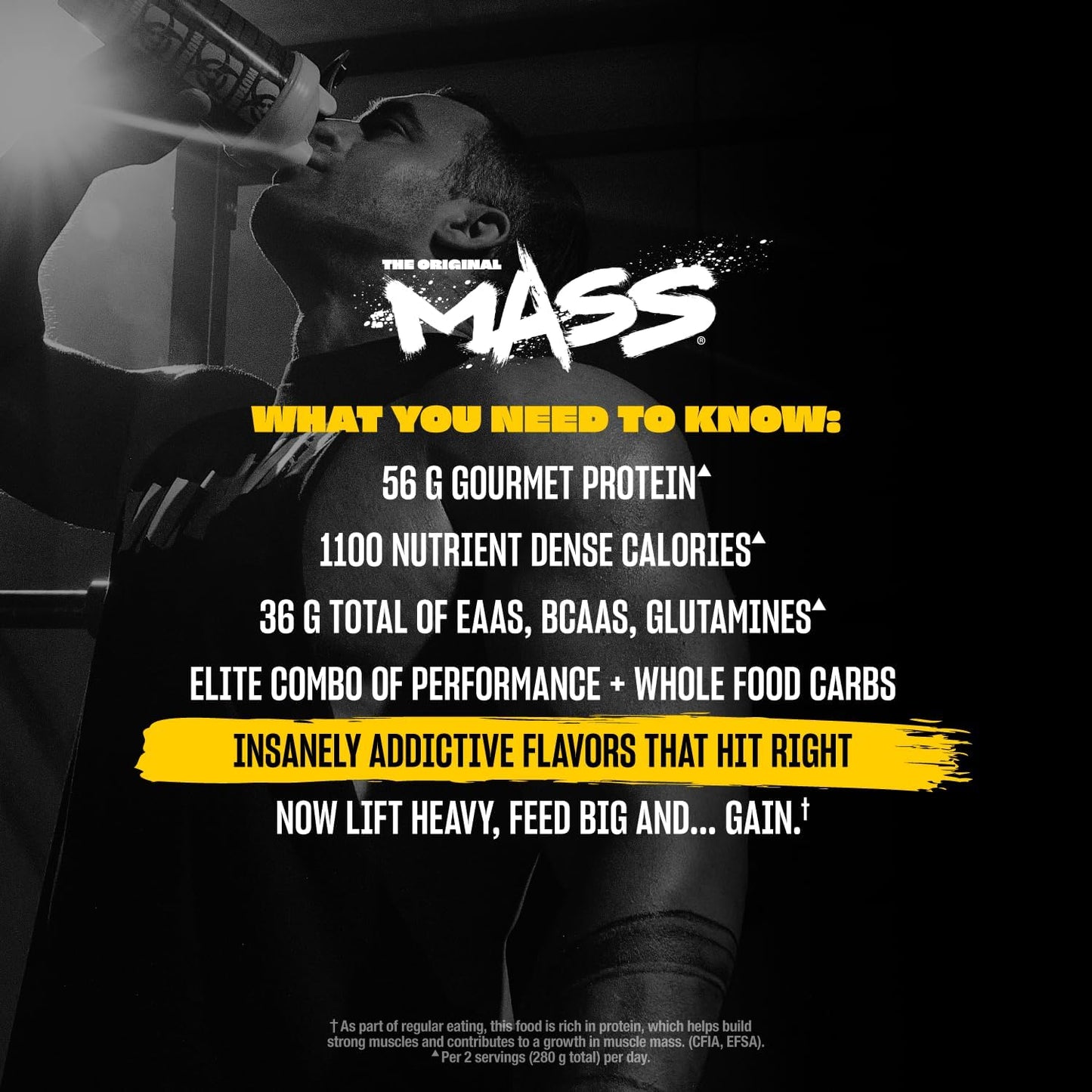 Vanilla Ice Cream Weight Mass Gainer Protein Powder for Muscular Mass - 15 Pound - High Calorie Formula by Mutant Mass