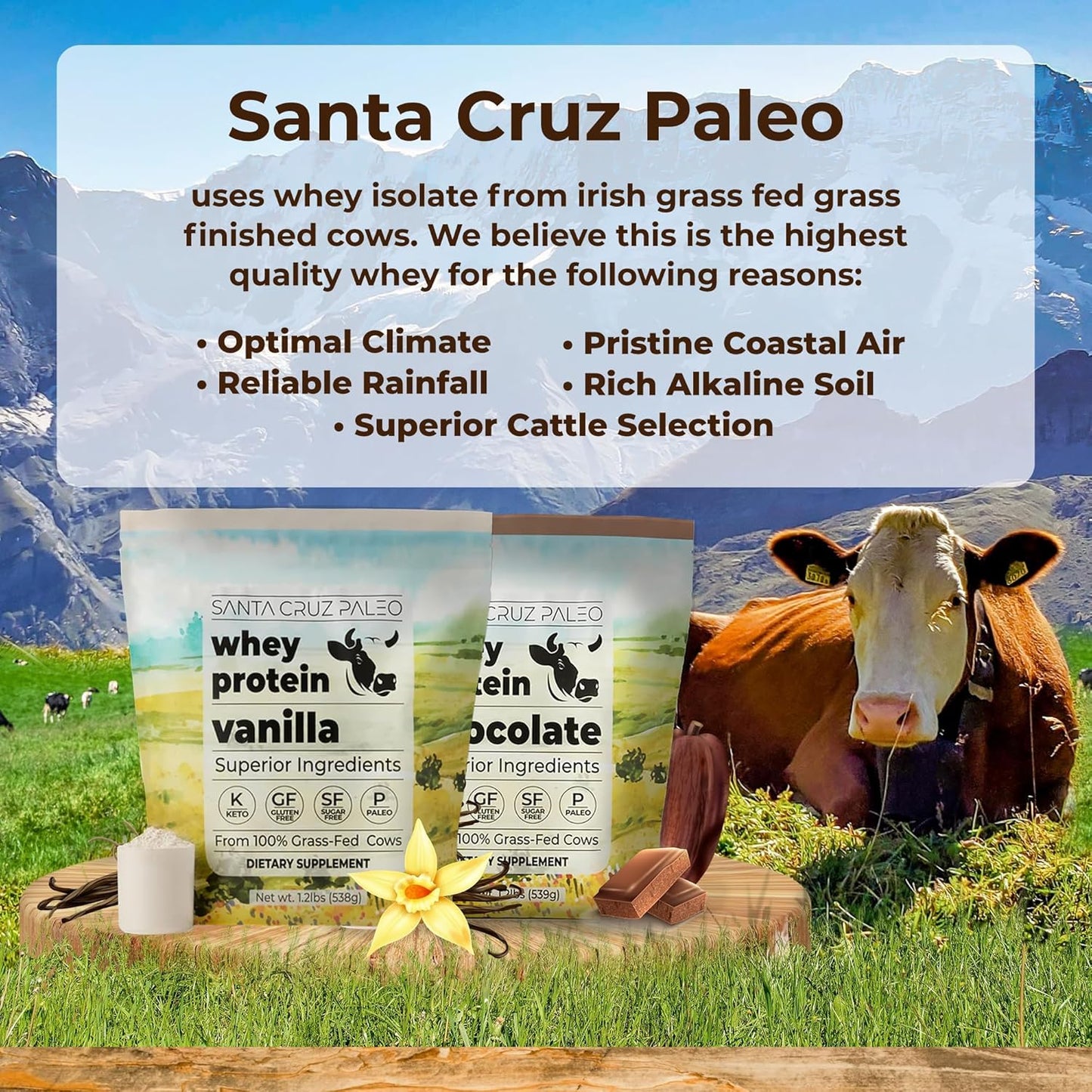 Vanilla Santa Cruz Paleo Whey Protein Powder - 20g Grass Fed Isolate, Gluten Free, Keto, Sugar Free - Natural Post Workout Muscle Support - 20 Servings, 1.2lb Bag