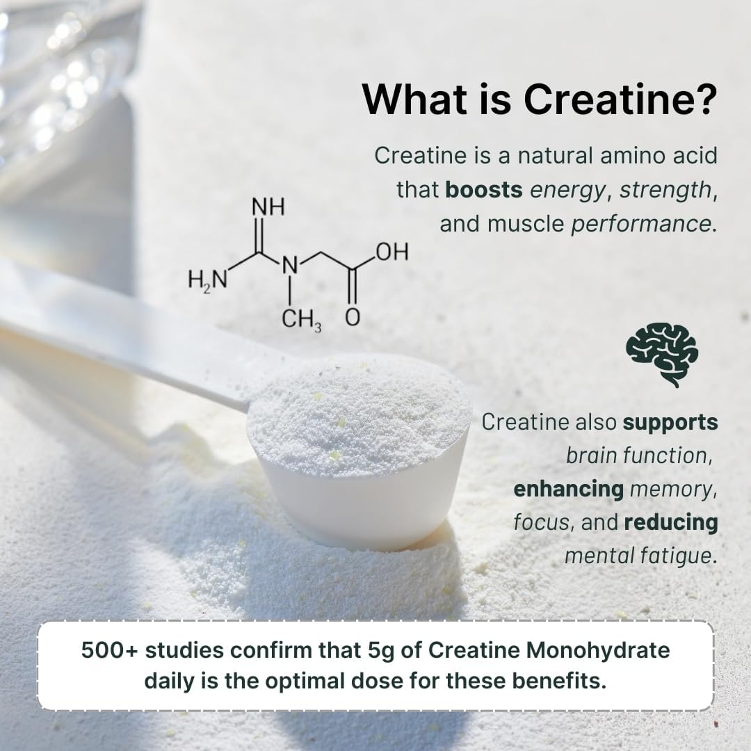 Vanilla Whey Protein Powder with Creatine - 25g Protein, 5g Creatine - Single-Serve Packets for Travel - Gluten-Free, No Added Sugar - 6-Pack