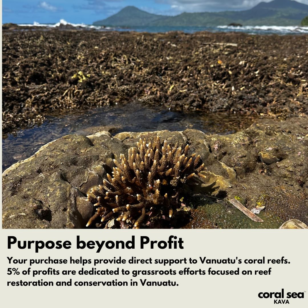 Vanuatu Palarasul Kava Powder - Rare Noble Root Tea for Relaxation - Uplifting & Calming Drink - Traditional Waka and Lawena Mix 8oz