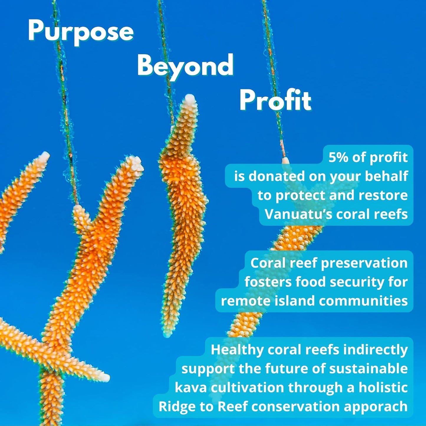 Vanuatu's Kelai Instant Kava Powder - Stress Relief & Mood Support - 25 Servings - Easy Mix Noble Kava Juice Extract