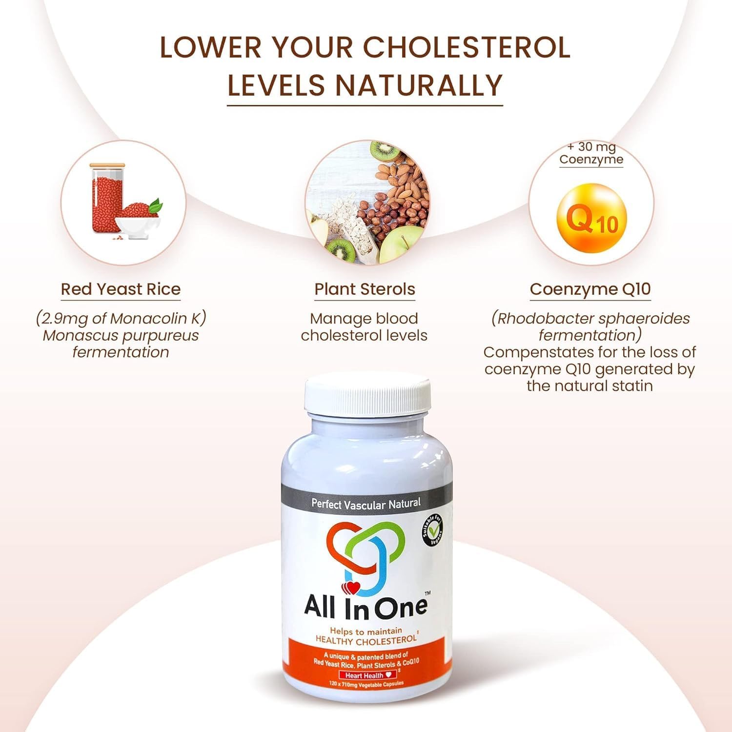 Vascular Health Supplement with Red Yeast Rice, CoQ10, and Plant Sterols - Supports Heart Health and Blood Circulation - 120 Capsules