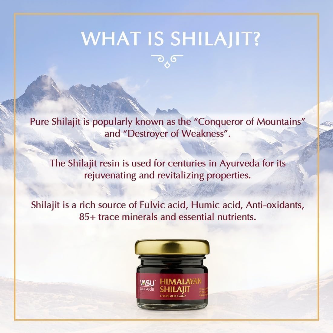 Vasu Ayurveda Himalayan Shilajit Resin: 100% Natural, High Potency, Lab Tested with Fulvic Acid & 85+ Trace Minerals - Black Gold Energy Booster (1 Pack)