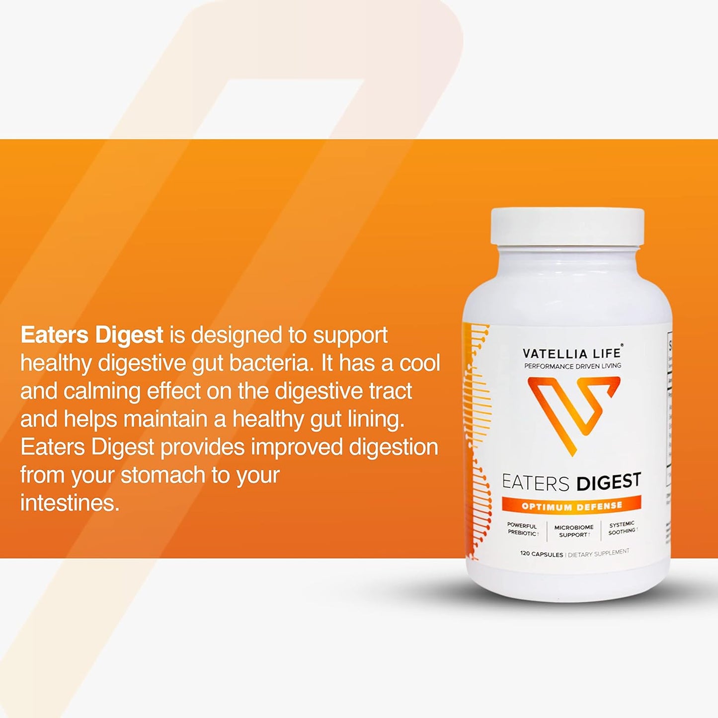 Vatellia Life Digestive Support Capsules - Prebiotic & Probiotic Blend for Gut Health - 120 Capsules for 60 Days