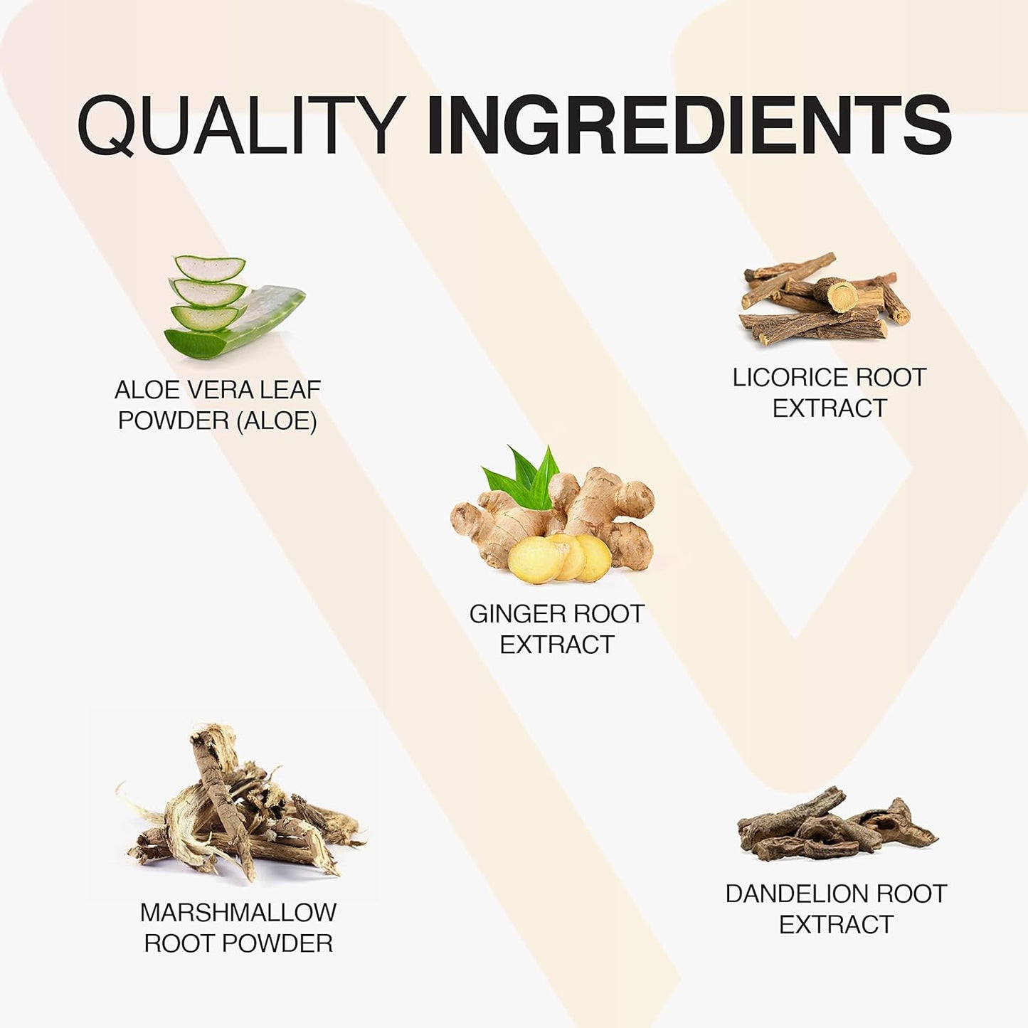 Vatellia Life Digestive Support Capsules - Prebiotic & Probiotic Blend for Gut Health - 120 Capsules for 60 Days