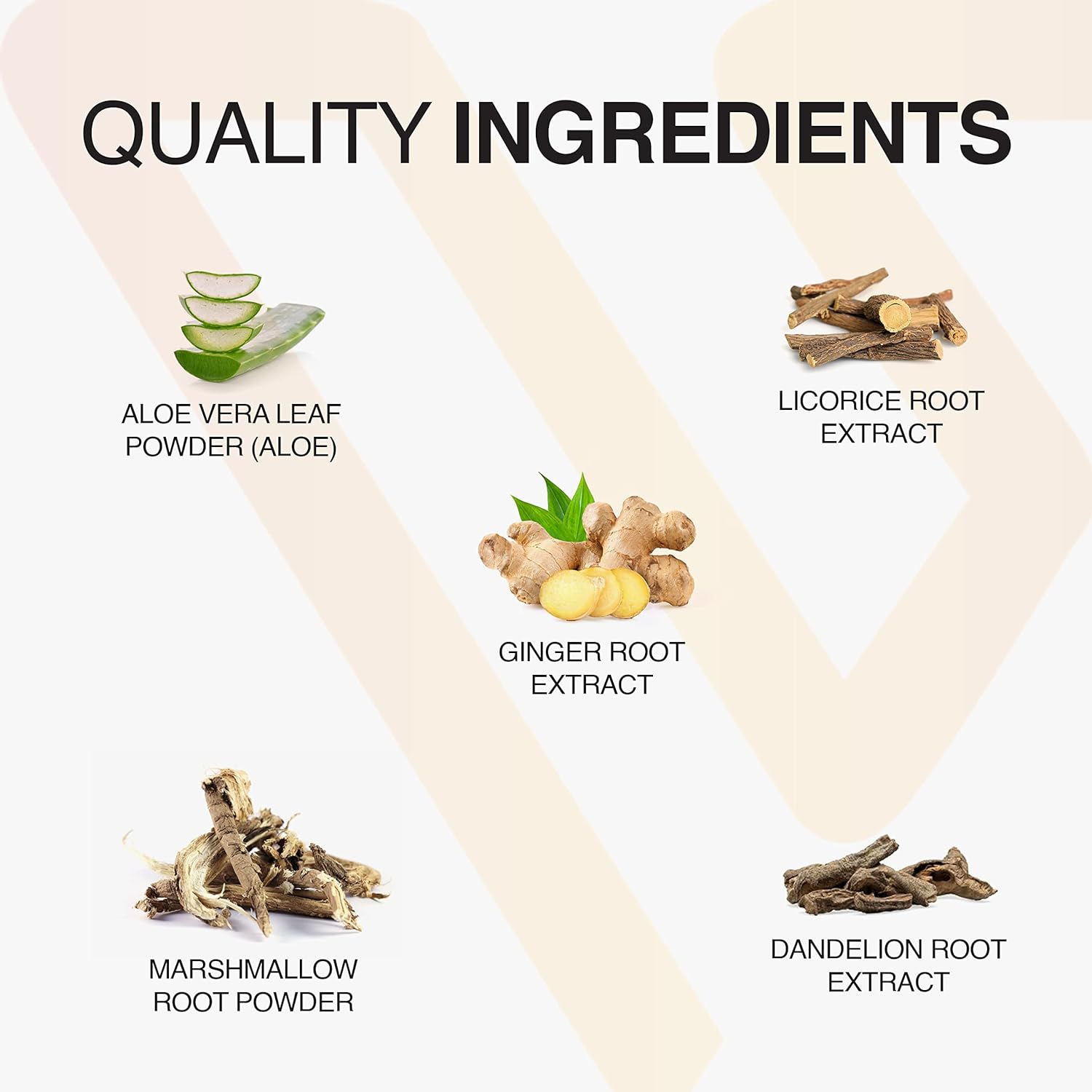 Vatellia Life Digestive Support Capsules - Prebiotic & Probiotic Blend for Gut Health - 120 Capsules for 60 Days