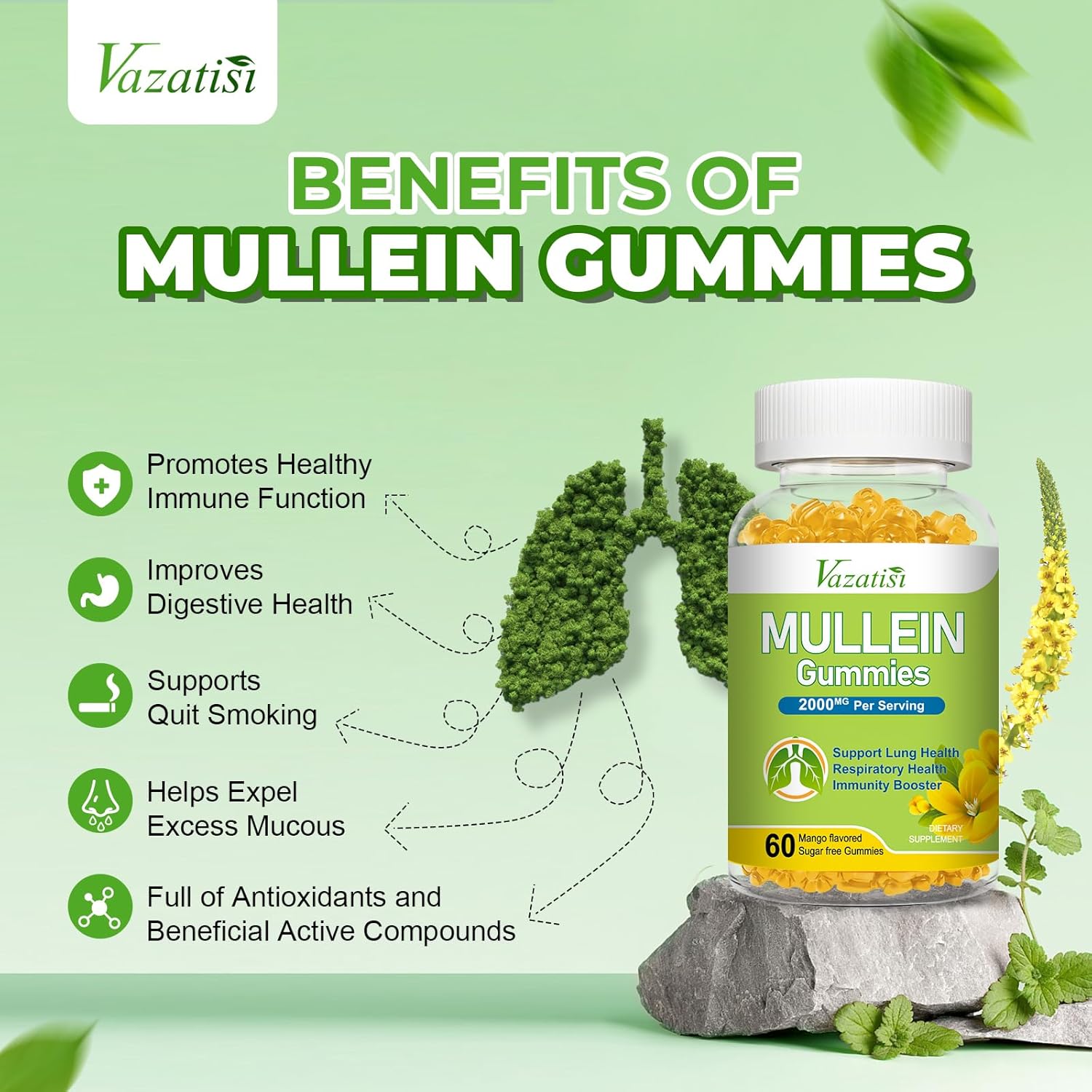 Vazatisi Mullein Leaf Gummies with Bromelain, Quercetin, and Pine Bark Extract - Lung Cleanse Support for Healthy Breathing - 60ct