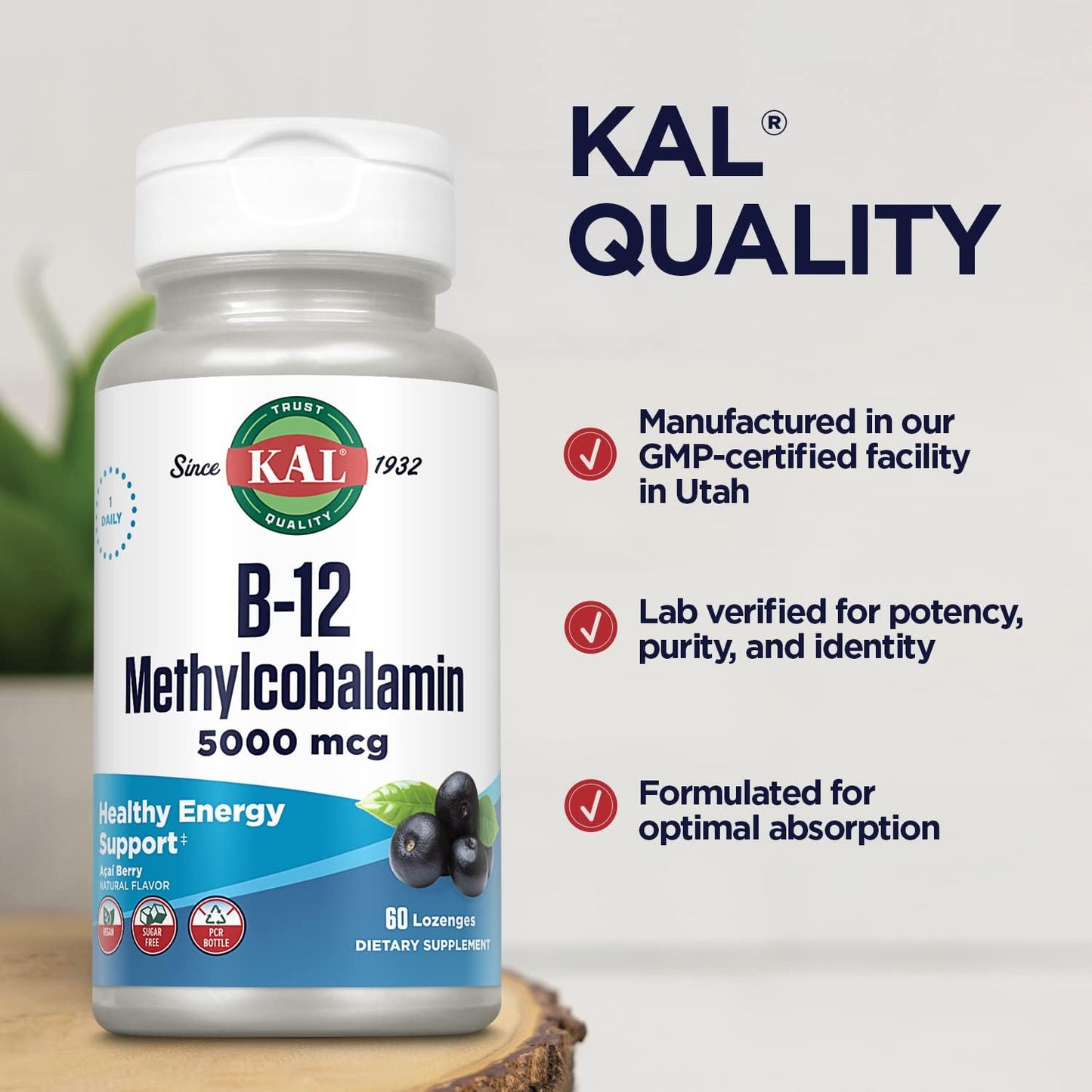 Vegan Acai Flavor B-12 Methylcobalamin Lozenges for Healthy Energy and Metabolism, 5000mcg, 60 Servings