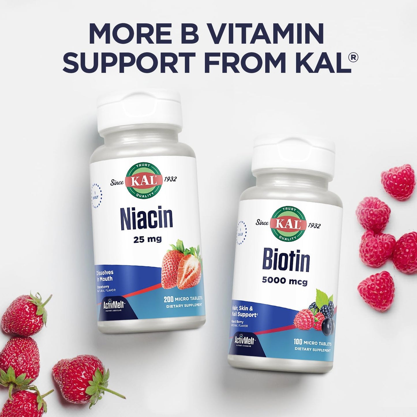 Vegan Acai Flavor B-12 Methylcobalamin Lozenges for Healthy Energy and Metabolism, 5000mcg, 60 Servings