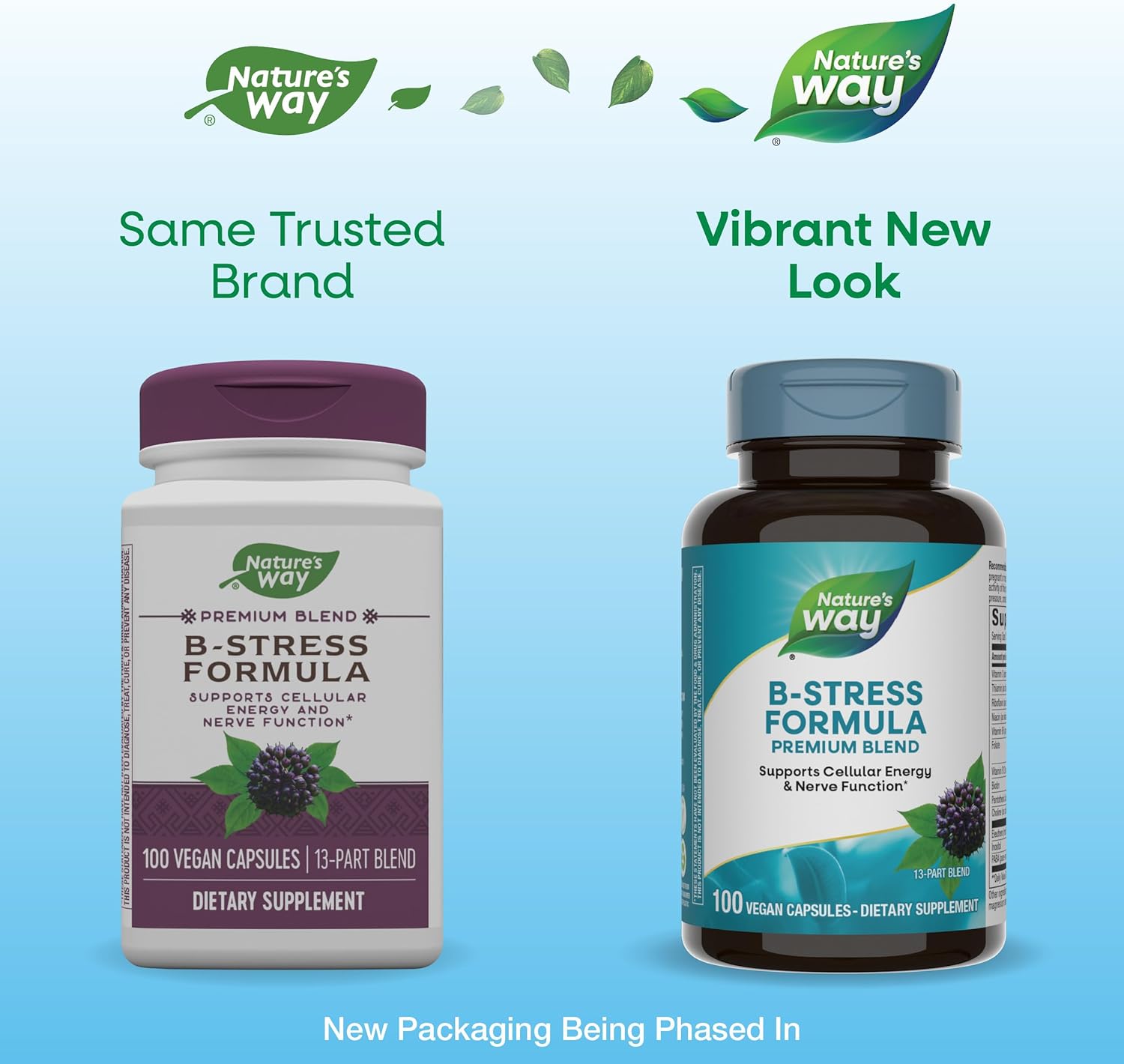 Vegan B-Stress Formula with Vitamins C, B12, B6 - Supports Cellular Energy & Nerve Function - Gluten Free - 100 Capsules