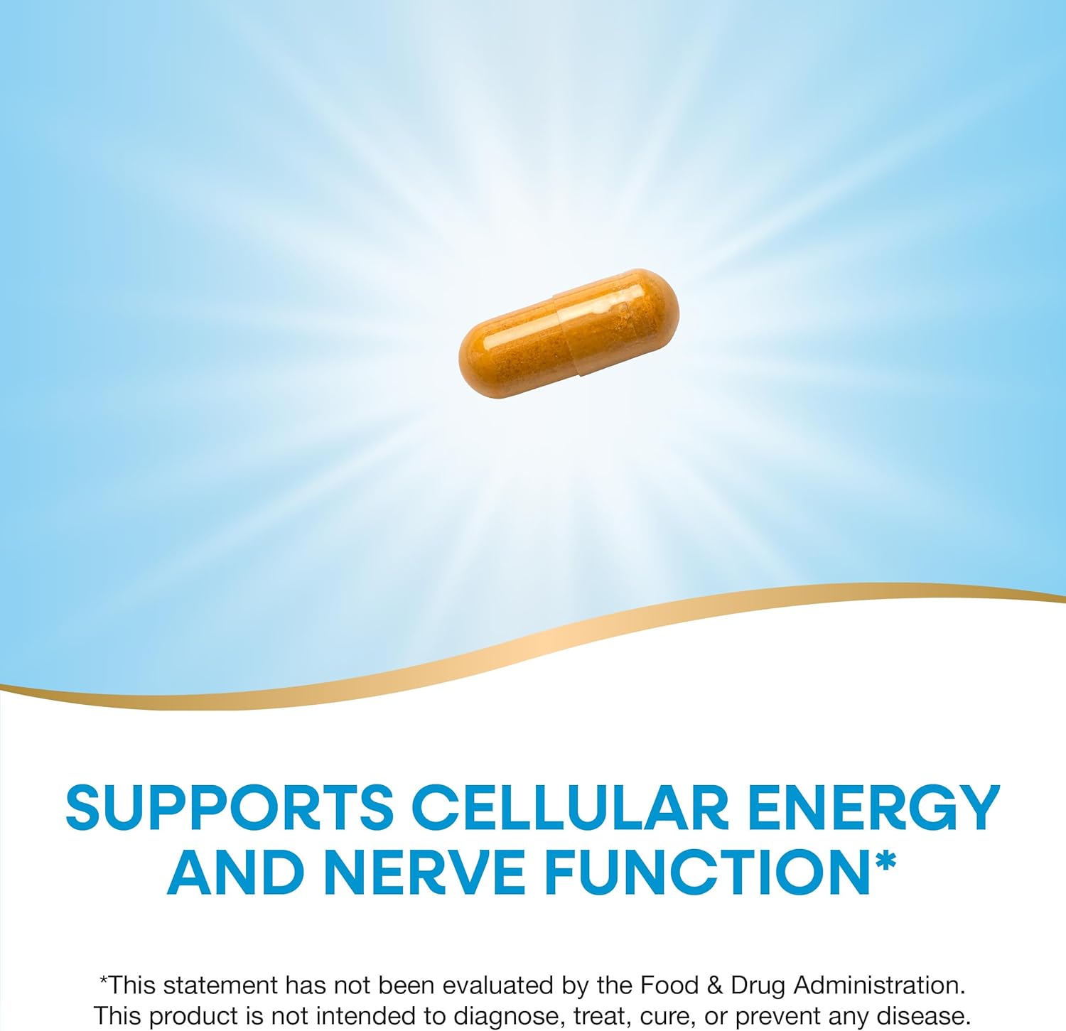 Vegan B-Stress Formula with Vitamins C, B12, B6 - Supports Cellular Energy & Nerve Function - Gluten Free - 100 Capsules