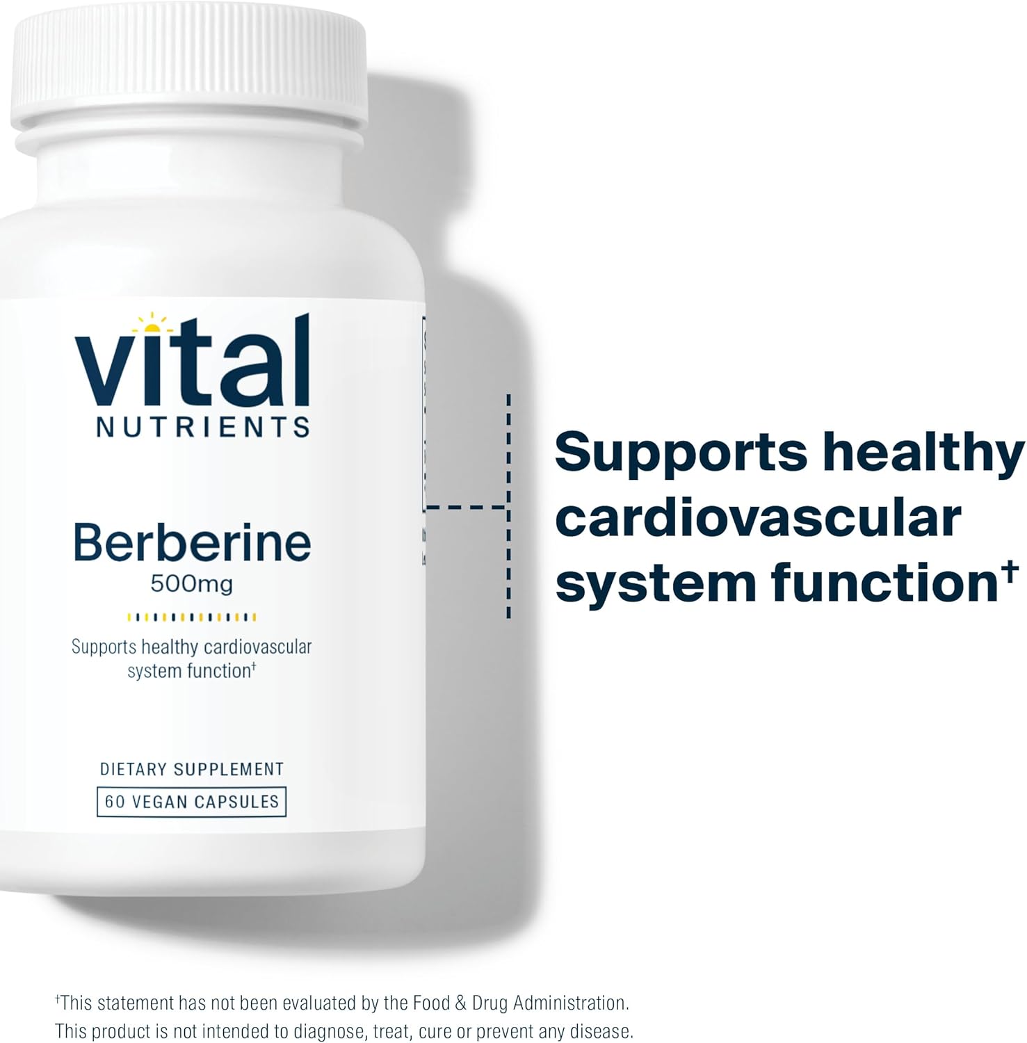Vegan Berberine Supplement for Bowel Function & Triglyceride Levels | 500mg Capsules | Gluten, Dairy, Soy Free - 60 Count