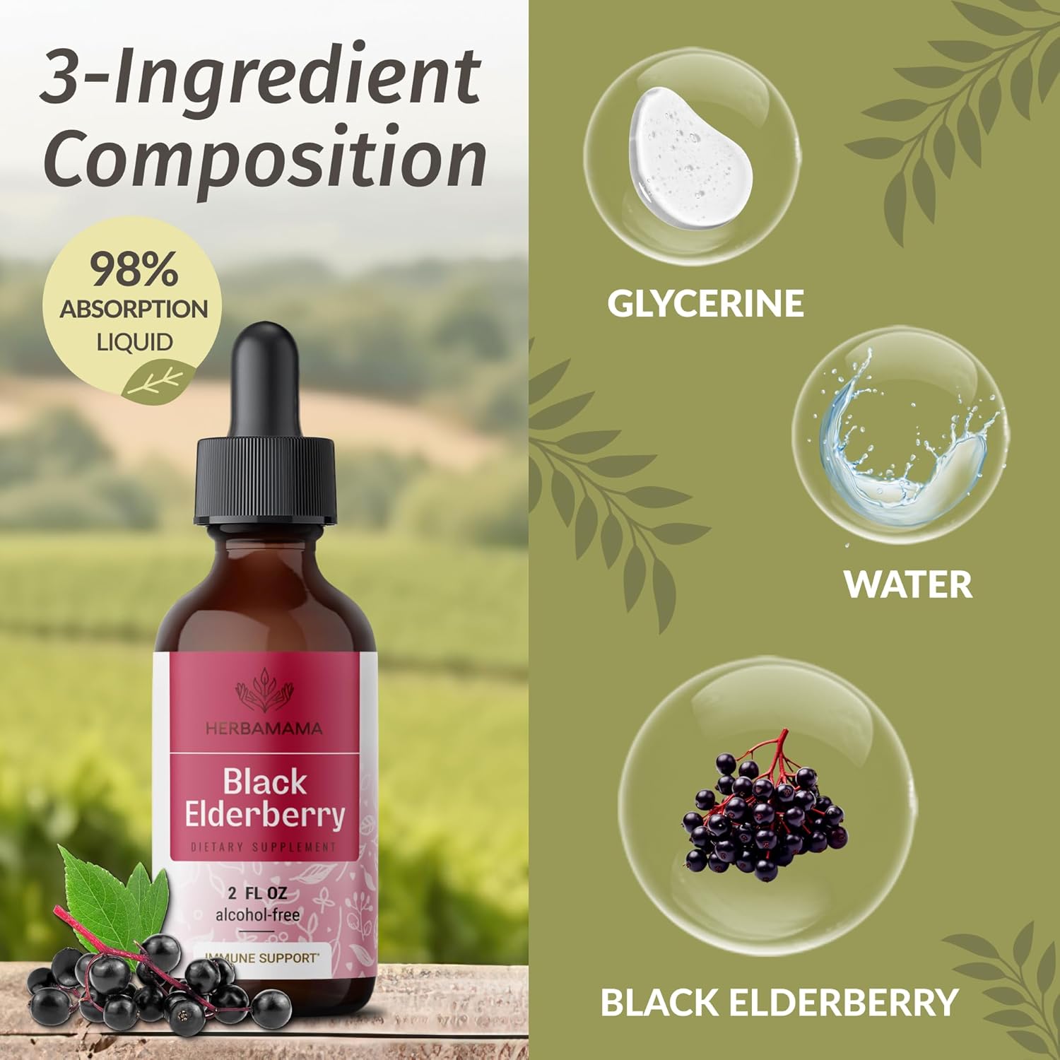 Vegan Black Elderberry Drops for Immune Support - Non-GMO Liquid Extract - Alcohol & Sugar-Free - 21-Day Supply