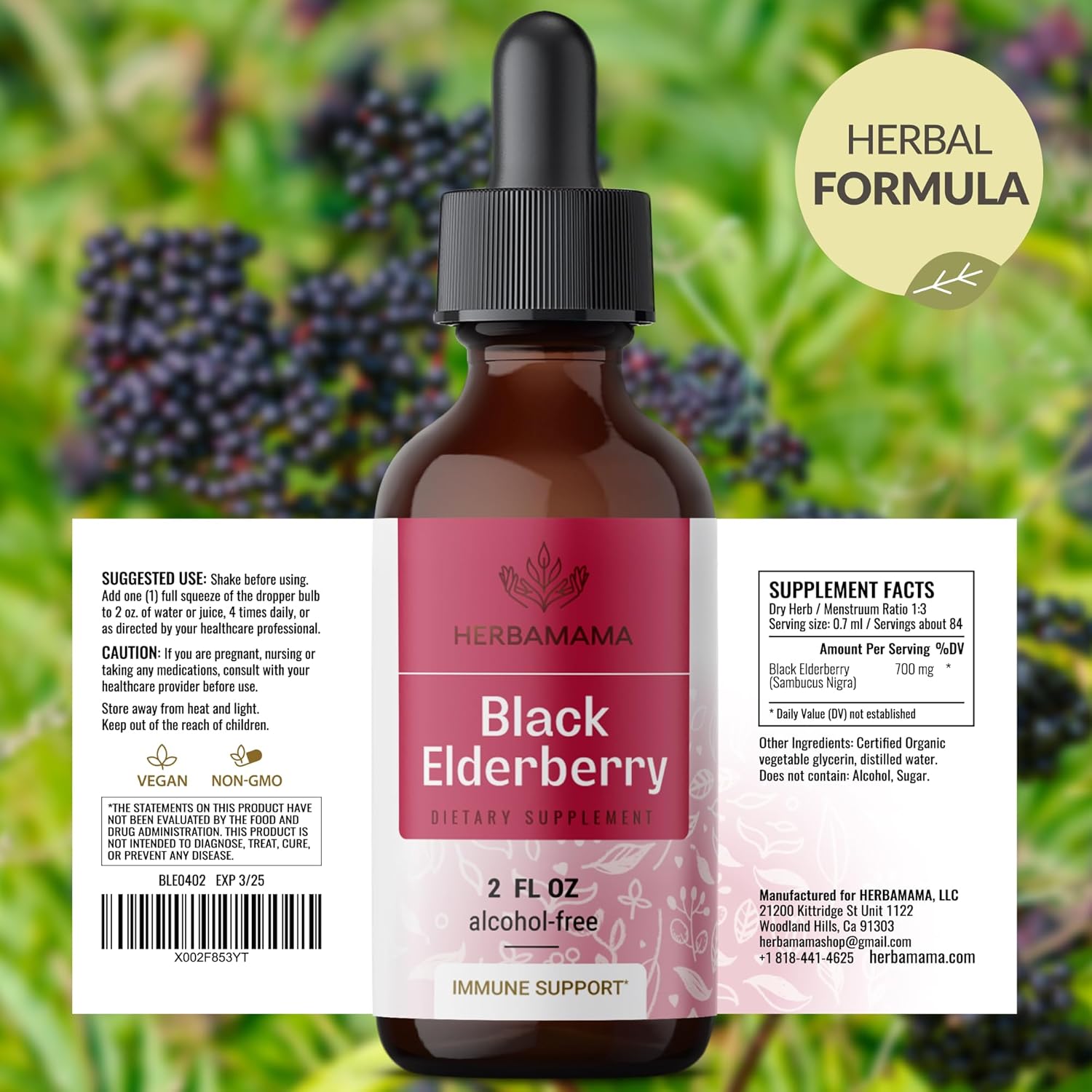 Vegan Black Elderberry Drops for Immune Support - Non-GMO Liquid Extract - Alcohol & Sugar-Free - 21-Day Supply