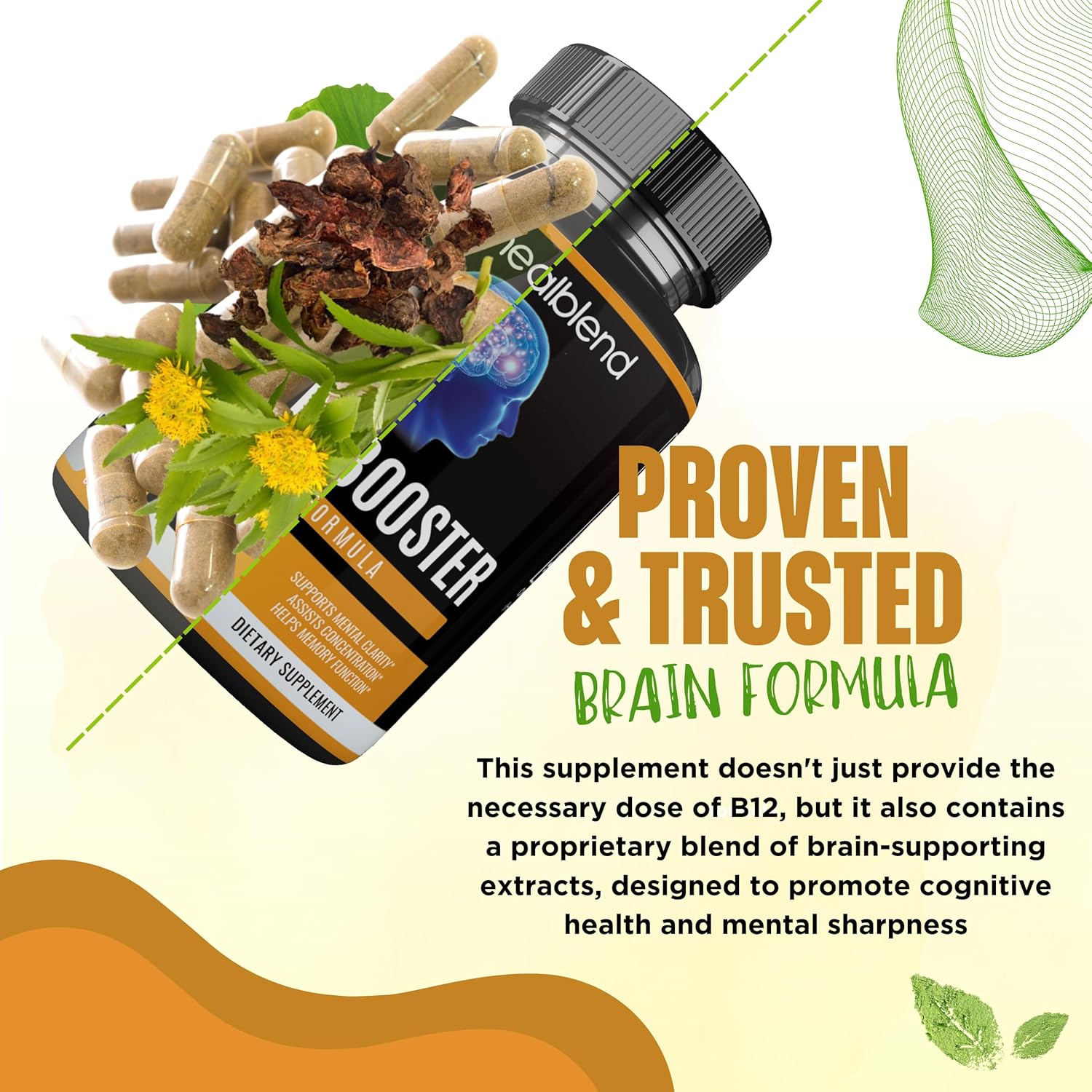 Vegan Brain Booster Supplement with B12 Vitamin, Alpha GPC, DMAE, Gingko Biloba, Rhodiola - Memory and Focus Support - 120 Capsules