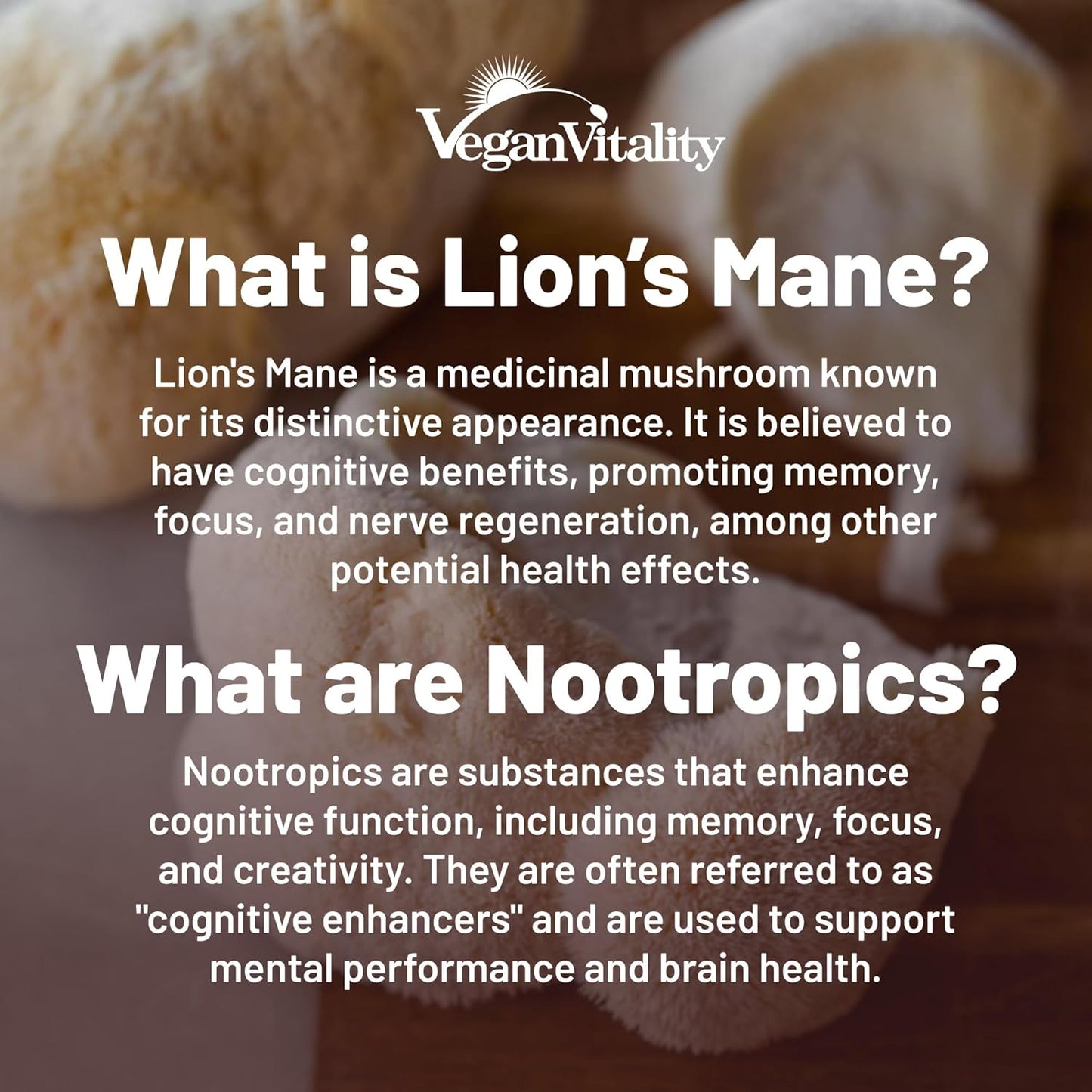 Vegan Brain Health Bundle - Lions Mane Nootropic Capsules & Vegan Multivitamins. Plant-Based Supplements for Memory, Focus & Overall Health