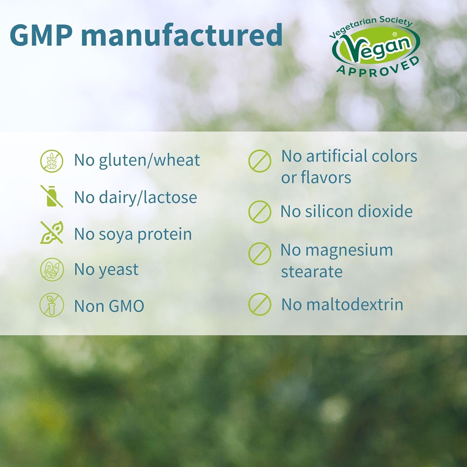 Vegan Bundle: Triple Magnesium Complex with High Absorption Curcumin - Enhanced Absorption for Optimal Health