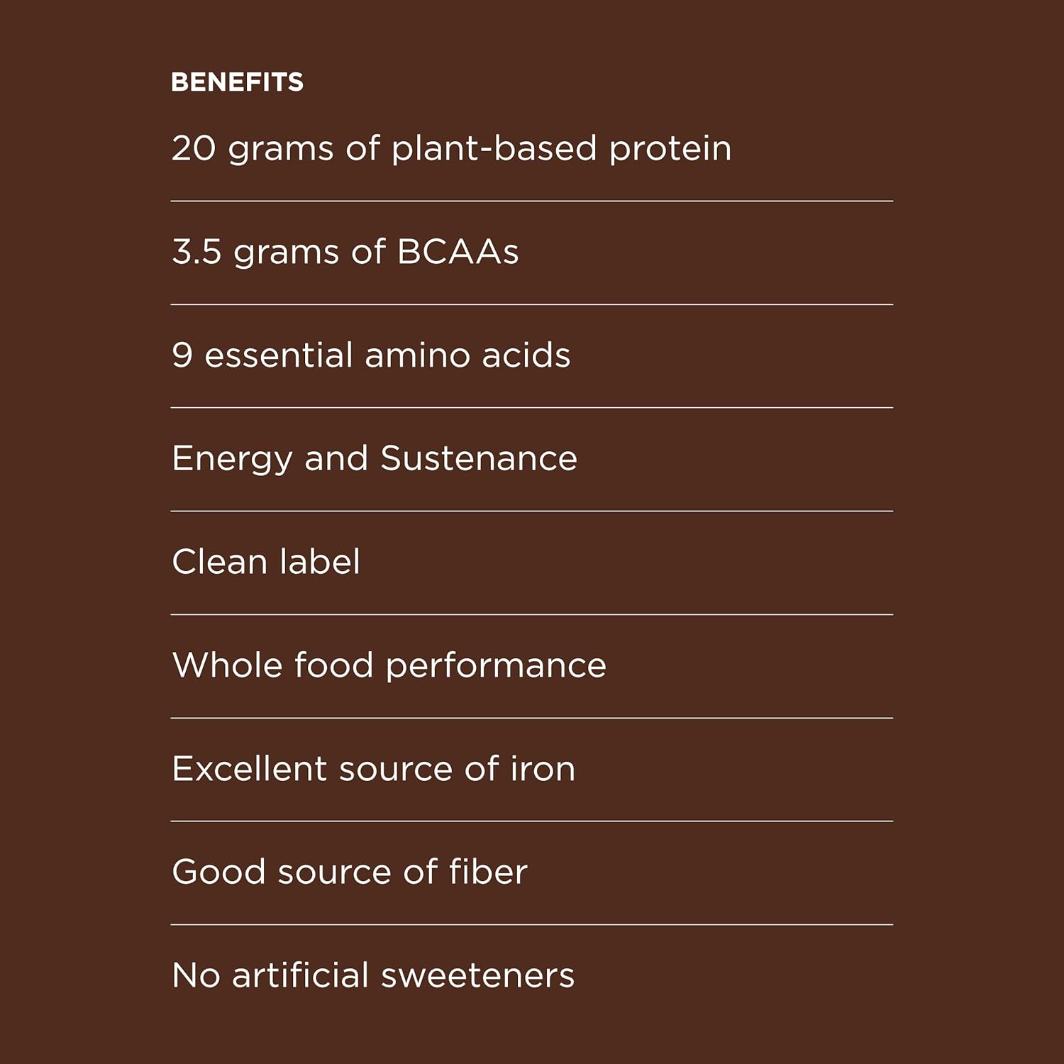 Vegan Chocolate Cacao Protein Powder - 20g Plant-Based Protein Mix - Non-GMO, Gluten-Free - 3.5g BCAAs - 9 Essential Amino Acids - 15-Day Supply