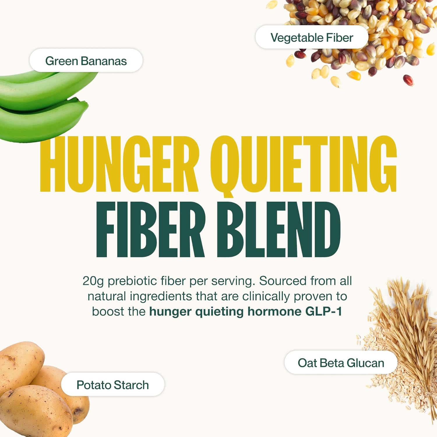 Vegan Chocolate Supergut Prebiotic Shake: High Protein, High Fiber, Keto-Friendly Meal Replacement with No Added Sugar (14 Servings)