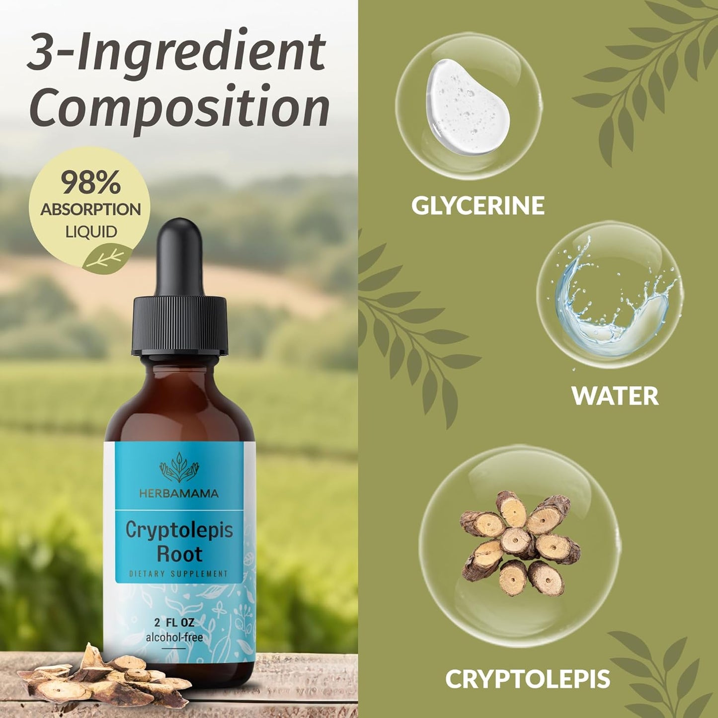 Vegan Cryptolepis Sanguinolenta Tincture for Immune Support - Detox Drops, Non-GMO & Alcohol-Free - 28-Day Supply