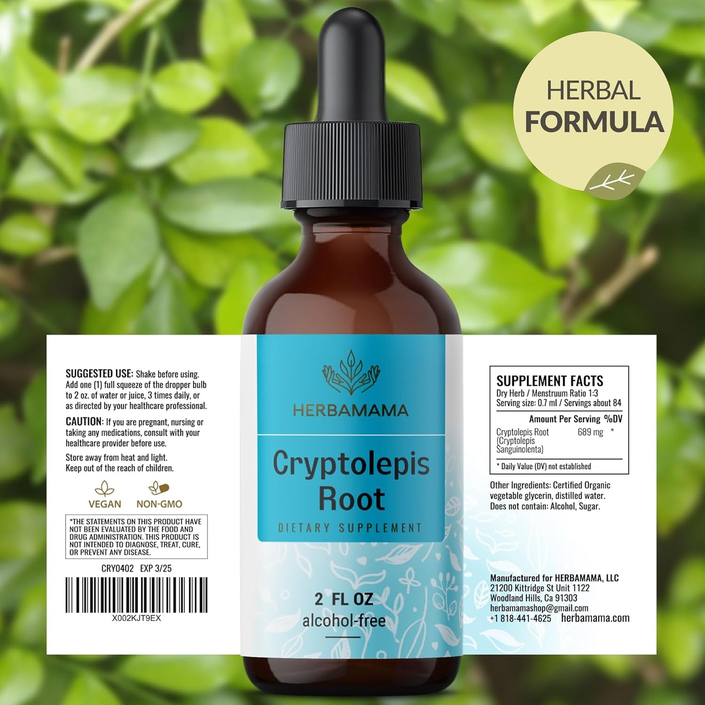 Vegan Cryptolepis Sanguinolenta Tincture for Immune Support - Detox Drops, Non-GMO & Alcohol-Free - 28-Day Supply