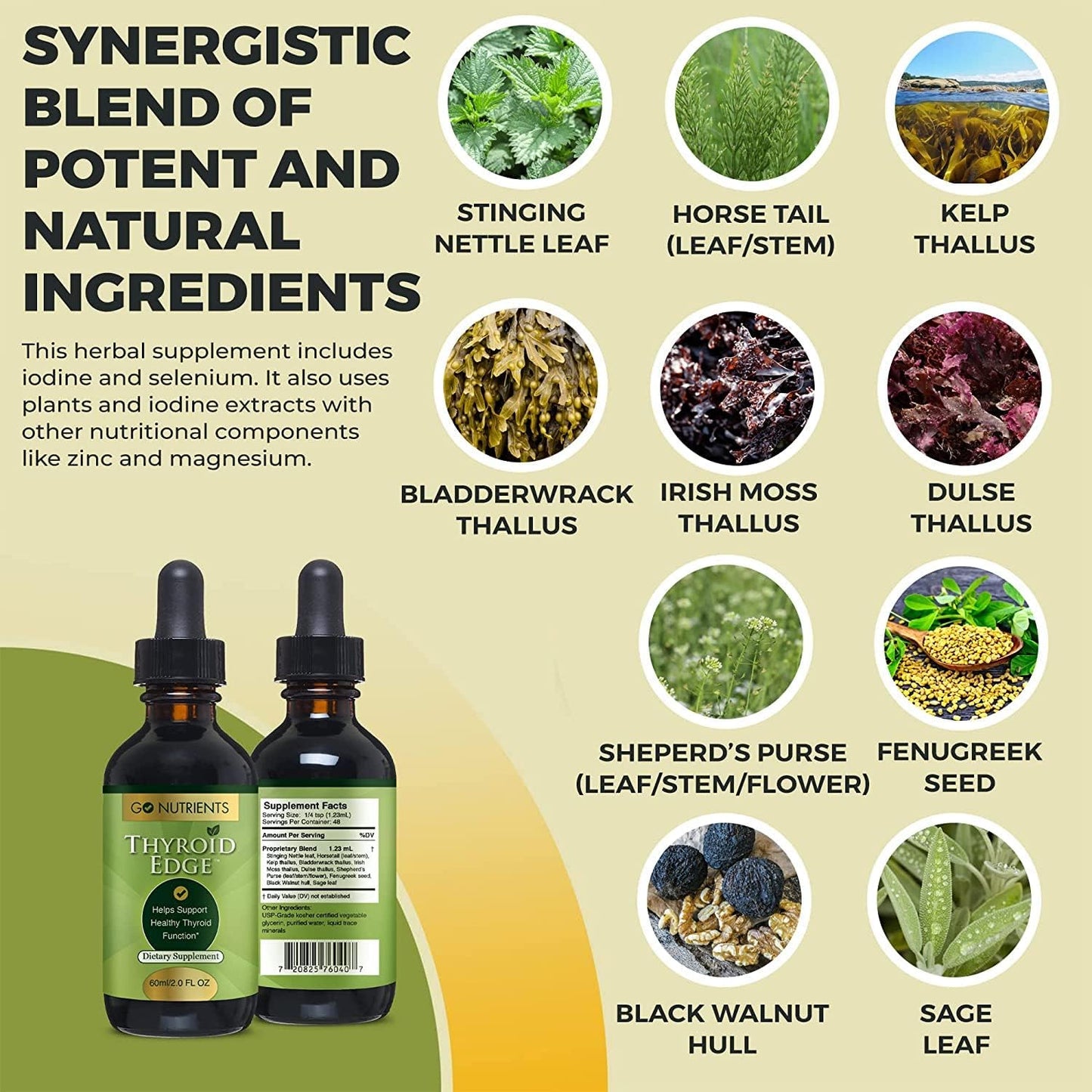 Vegan-Friendly Liquid Chlorophyll & B12 Sublingual Supplement - GMO-Free & Gluten-Free