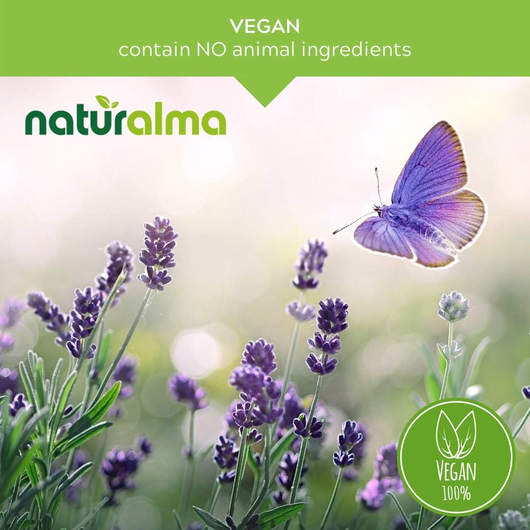 Vegan Great Mullein (Verbascum thapsus) Flower and Leaf Tincture - 6.76 fl oz Alcohol-Free Liquid Extract Drops - Herbal Supplement