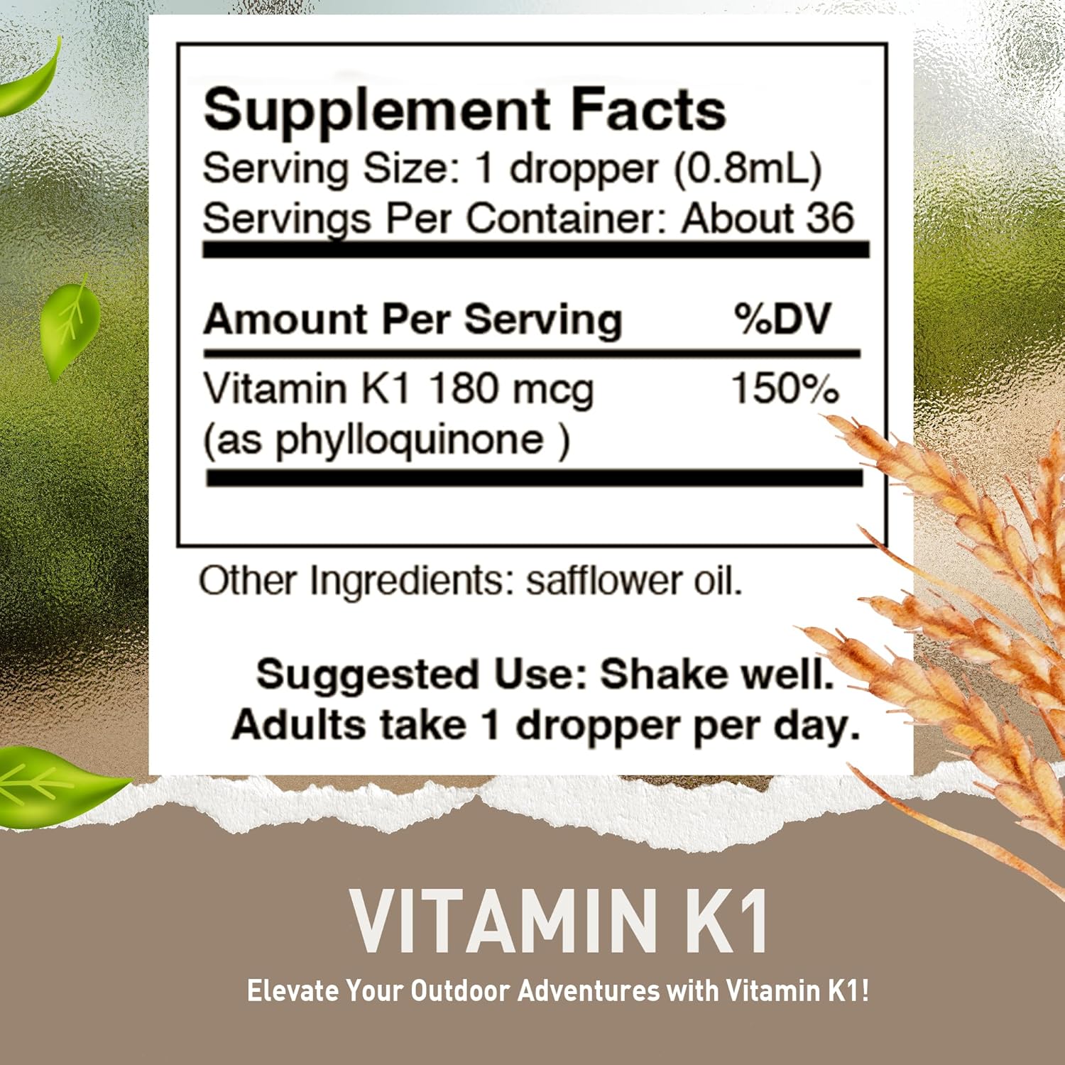 Vegan HoneyCombs Liquid Vitamin B6 & K1 Drops, Non-GMO Extract for Overall Health, 1 fl oz - Pyridoxine & Vitamin K Blend