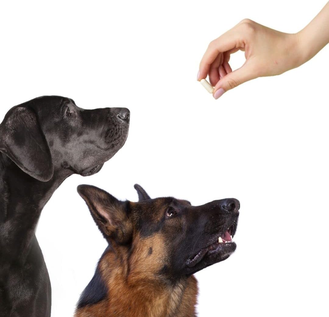 Vegan HPMC Size 0 Empty Capsules - 500 Count Vegetarian Capsules - Fillable Vegetable Pill Capsules - Halal Kosher Hypromellose - for Capsule Filling Tray