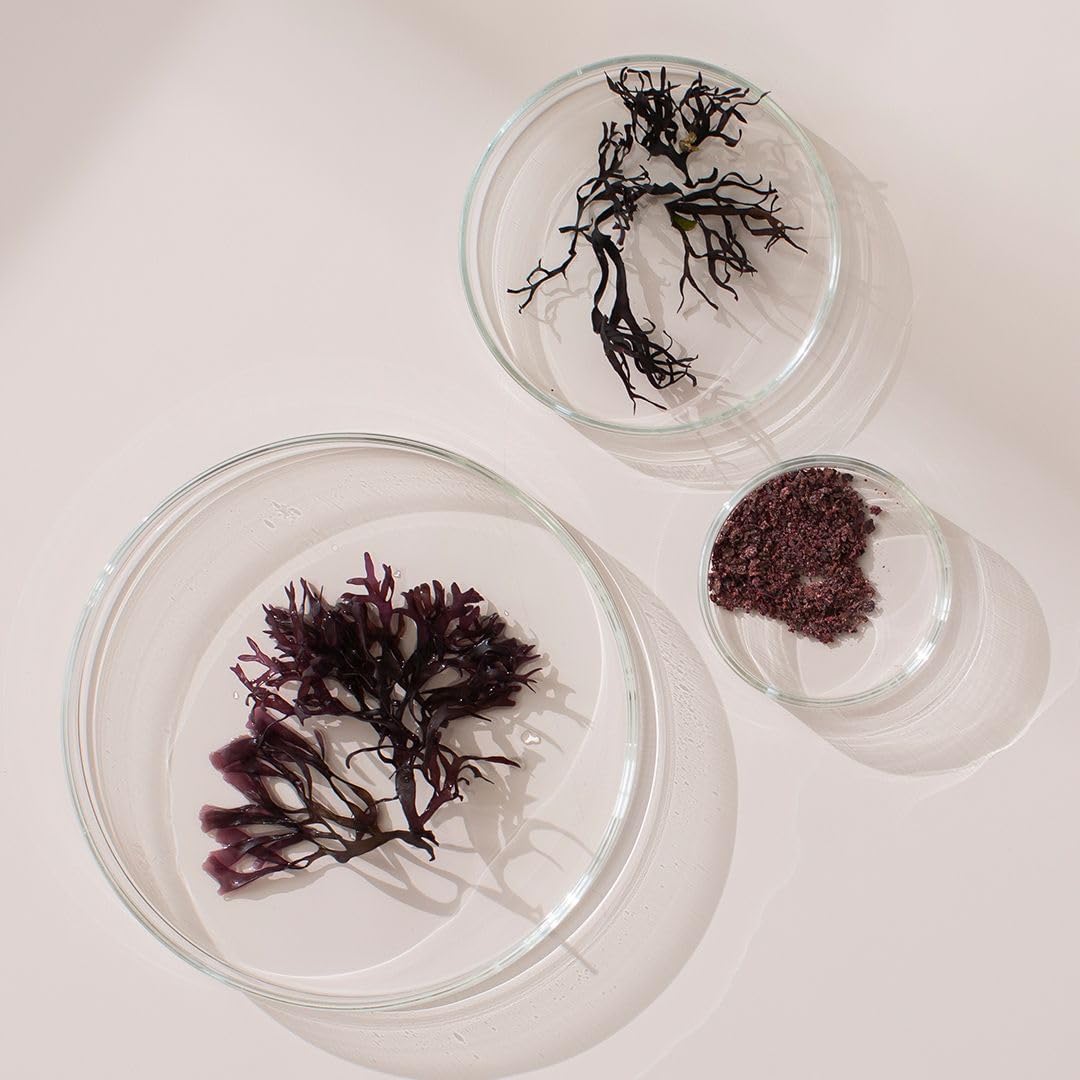 Vegan Irish Sea Moss Extract Tablets with Tri-Algae Complex - Gluten Free, Raw Powder - 30 Tablets