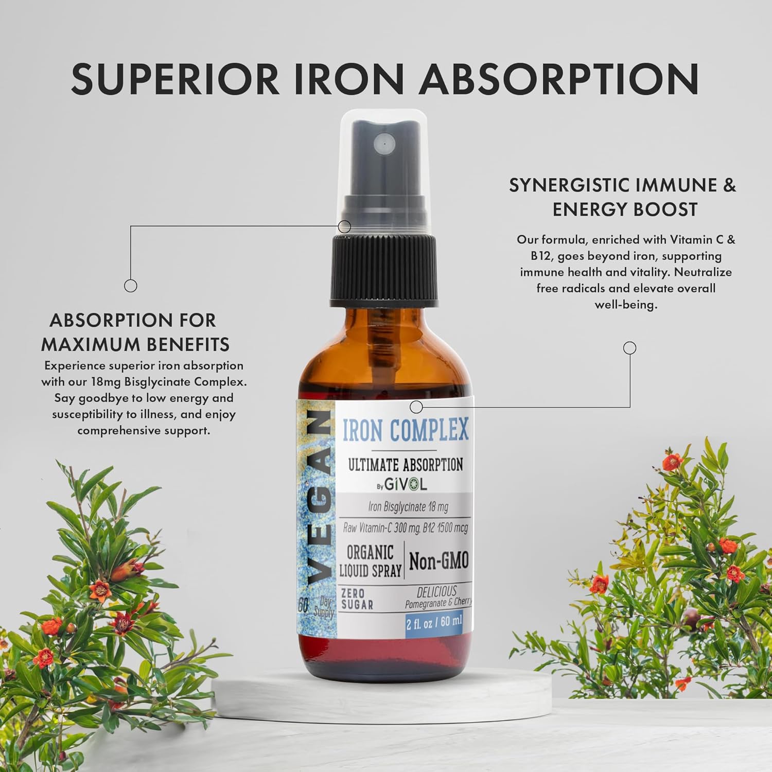 Vegan Iron Supplement Spray with Vitamin C & B12 for Energy & Immunity Boost - 18mg Bisglycinate Complex, Optimal Absorption - Non-GMO, Sugar-Free (60ml)