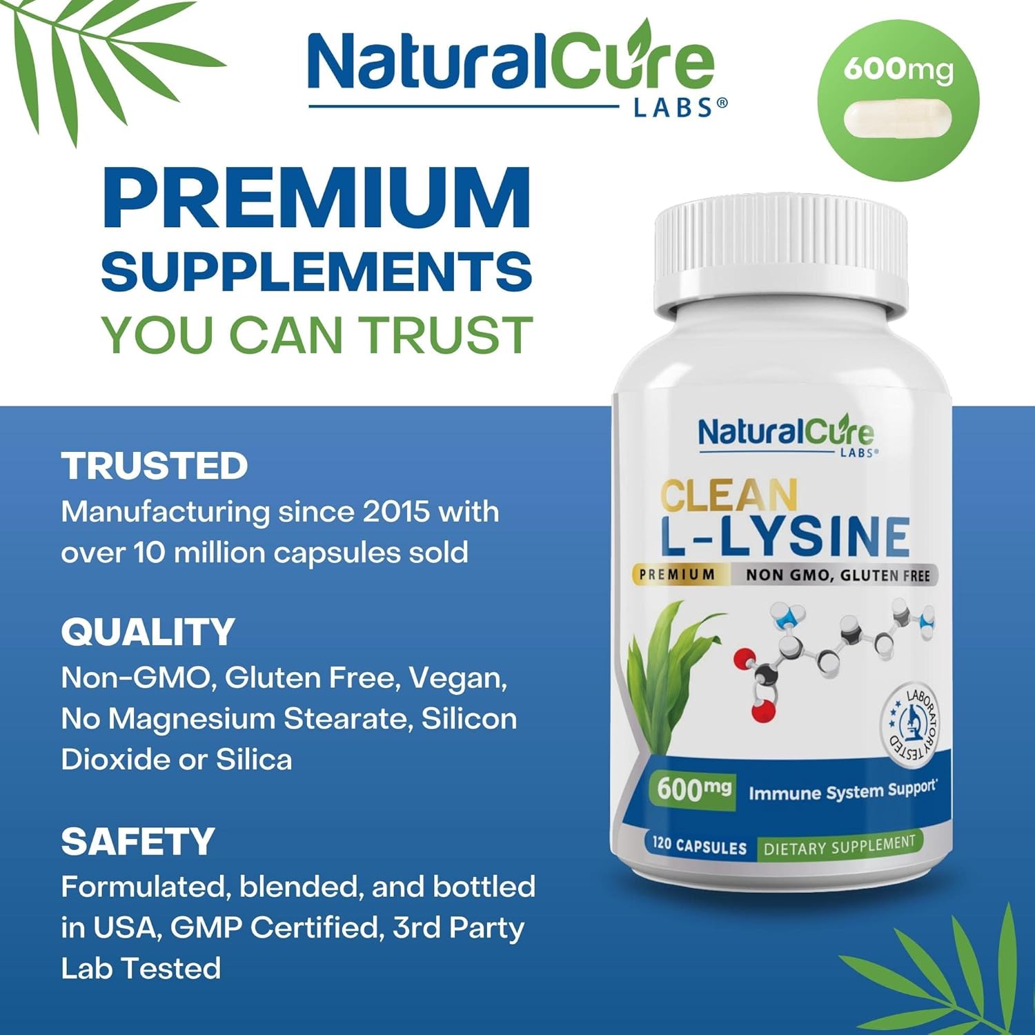 Vegan L-Lysine 600mg Capsules - 120 Count | Non-GMO & Gluten-Free by Natural Cure Labs