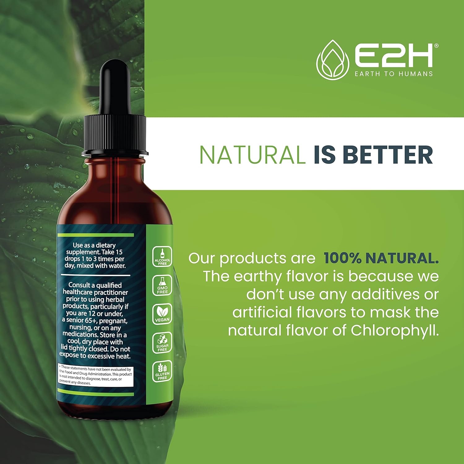 Vegan Liquid Chlorophyll & Black Currant Extract Bundle - E2H Earth to Humans - 4 Fl Oz Total - Non-GMO