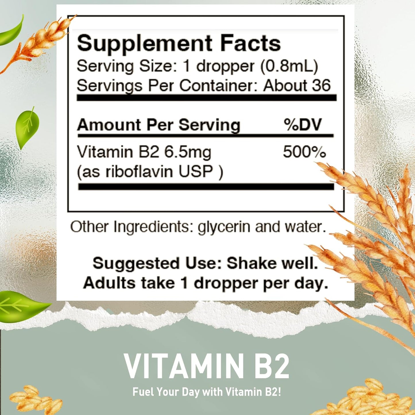Vegan Liquid Vitamin B1 & B2 Drops for Health, Digestion, Hair, Skin & Nails - Non-GMO & Alcohol-Free