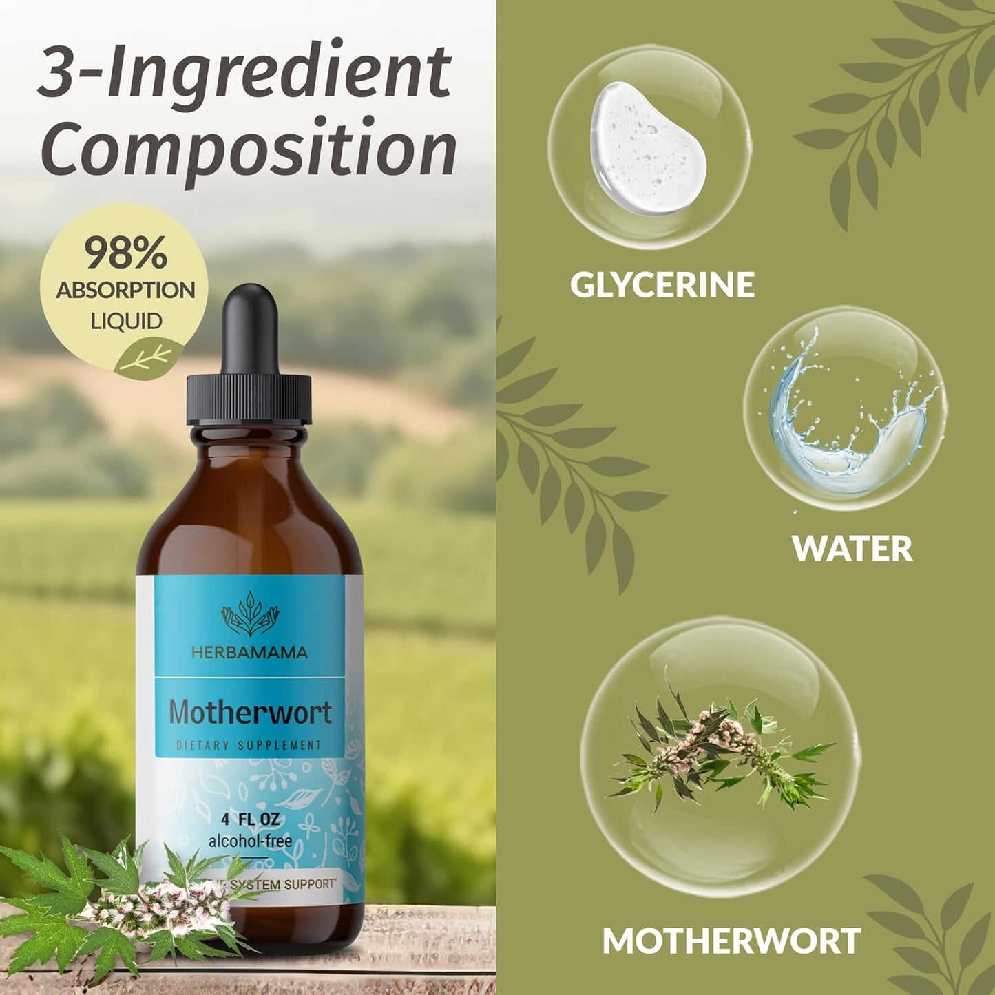 Vegan Motherwort Tincture for Women's Support - Herbal Calming Drops, Non-GMO, Alcohol & Sugar-Free - 56-Day Supply