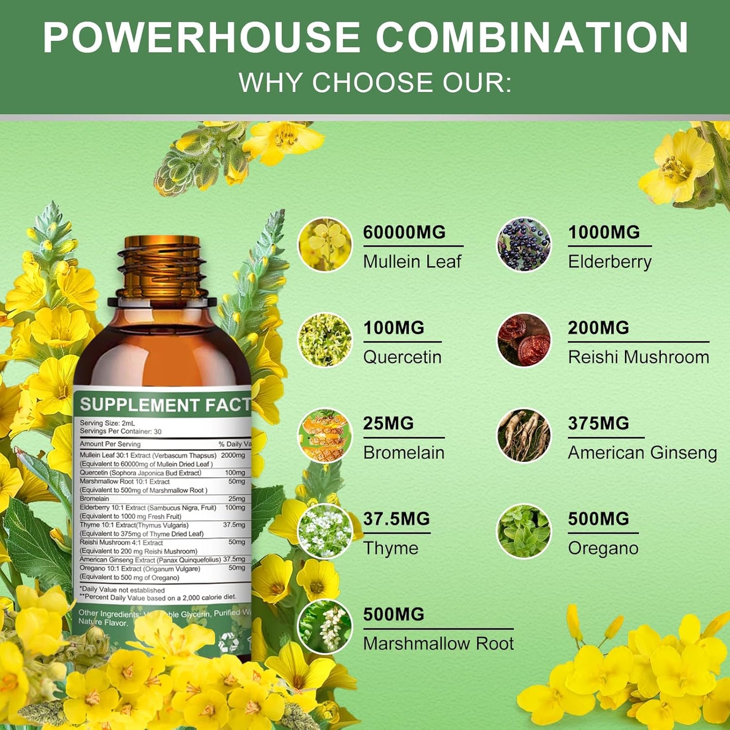 Vegan Mullein Leaf Extract Drops for Lung Cleanse & Detox - Immune & Respiratory Support - 9 Herbal Supplement to Renew - Liquid Tincture