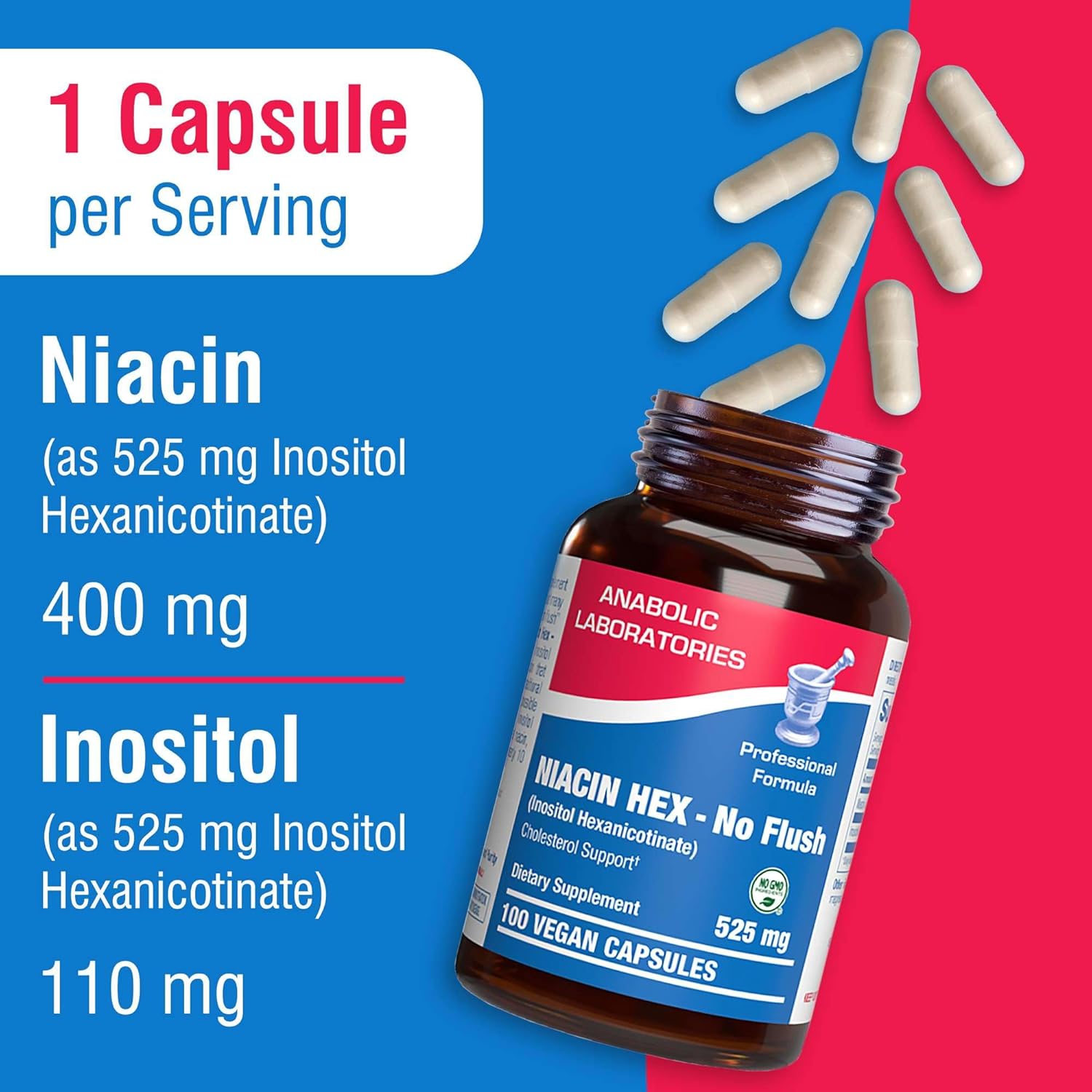 Vegan Niacinamide Supplement - 100 Capsules, 500mg Non-Flushing Niacin for Cholesterol Support