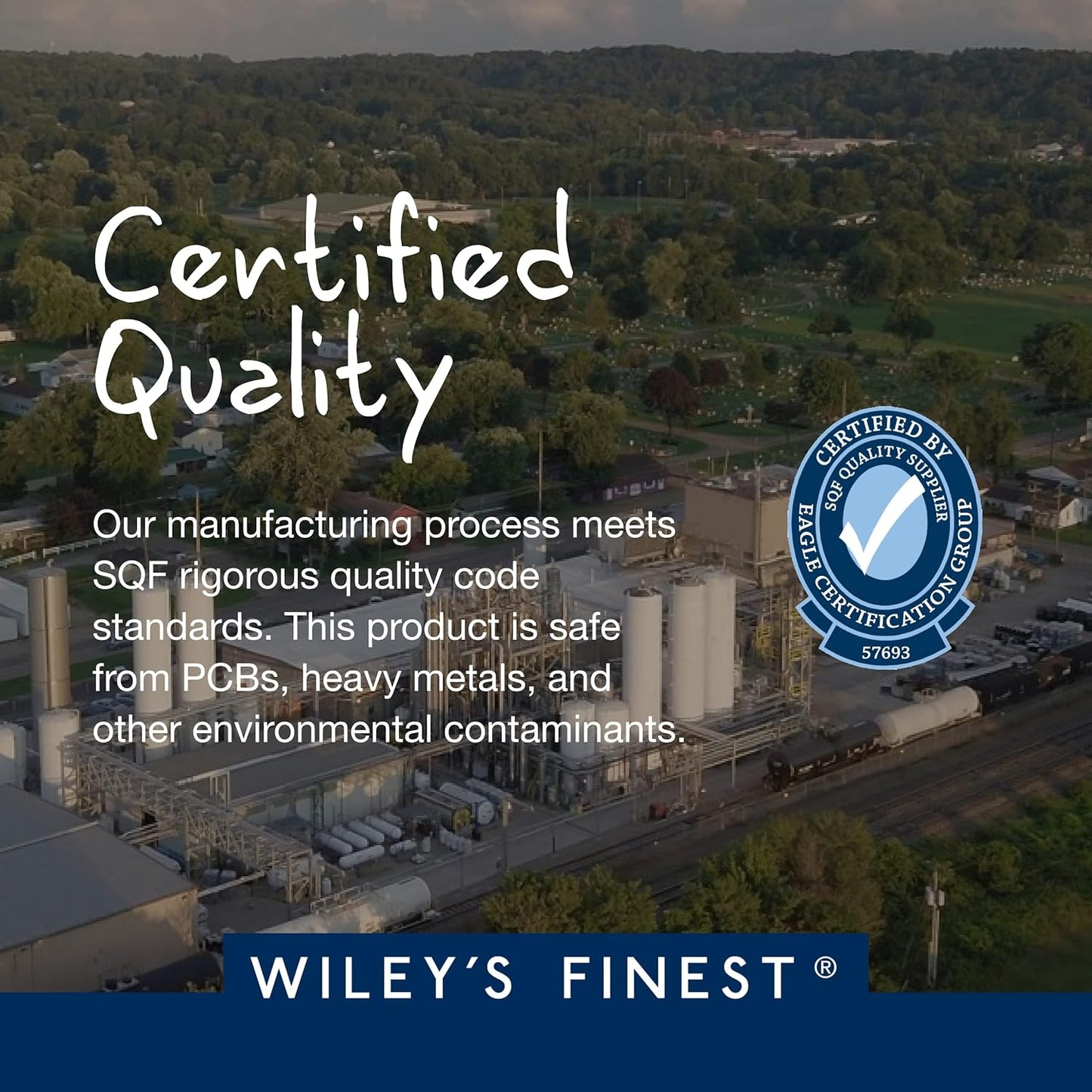 Vegan Omega-3 Gummies with DHA, ALA, SDA - Gluten Free, Watermelon Flavor - 60 Gummies by Wiley's Finest