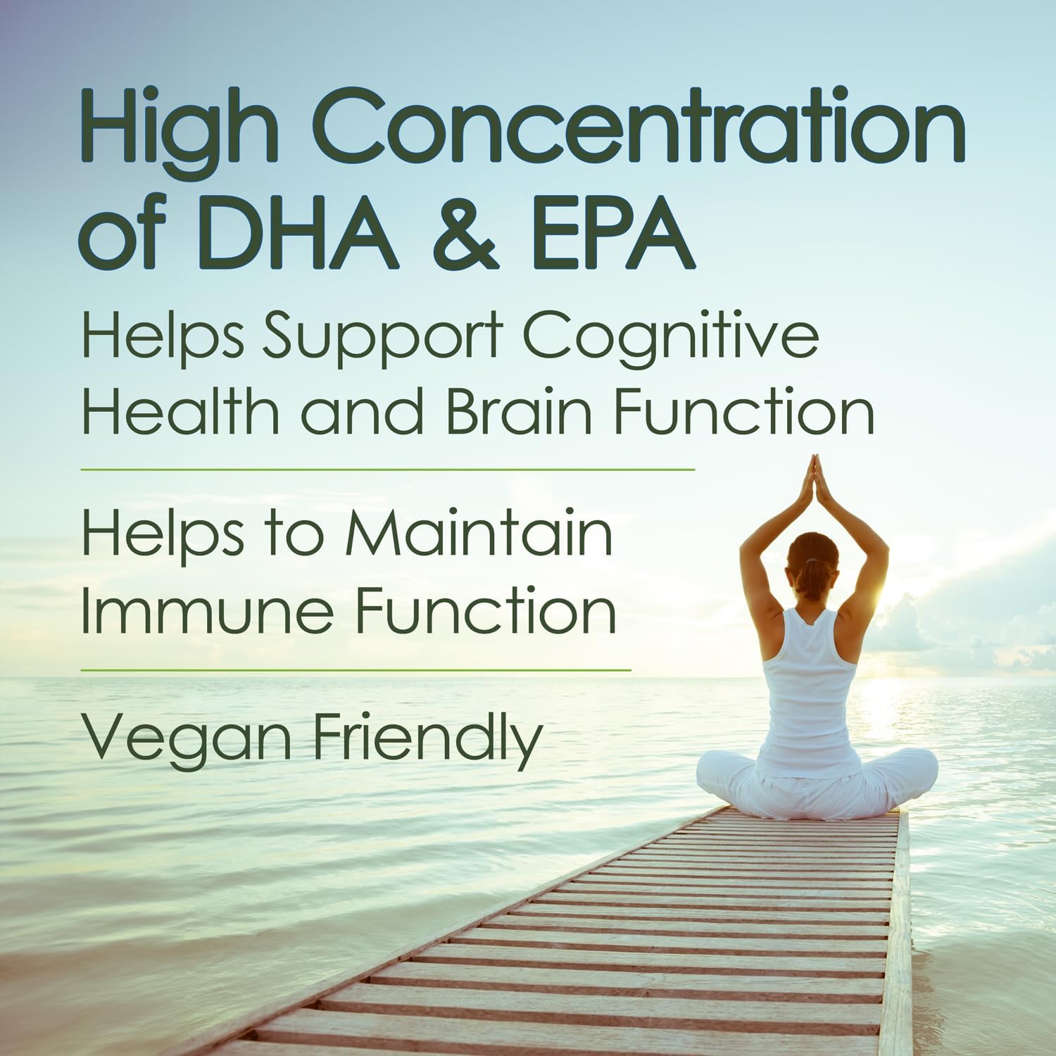 Vegan Plant-Based Omega 3 Supplement 2480mg High DHA & EPA Algae Oil Softgels - 120 Count