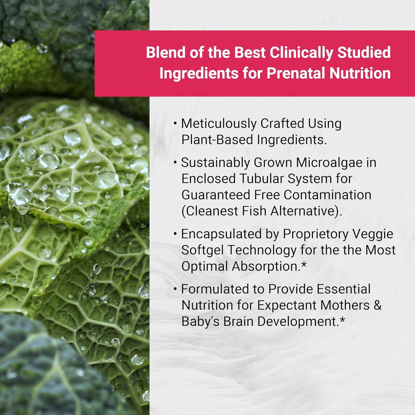 Vegan Prenatal Supplement with Omega-3, Vitamin D3, and Folate | Non-GMO, Soy Free, Vegan Society Certified | 60 Softgels