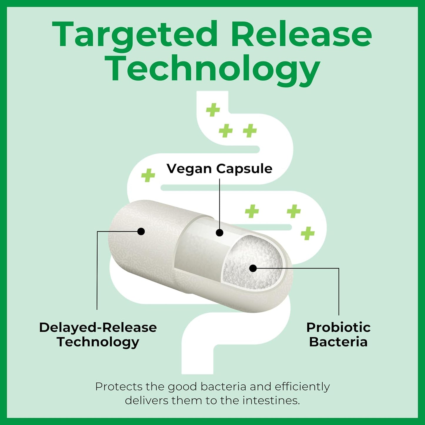 Vegan Probiotic Supplement for Bowel Support - Bio-K Plus Bio K+ Advanced Formula with 50 Billion CFU, 3 Strains, 20 Capsules