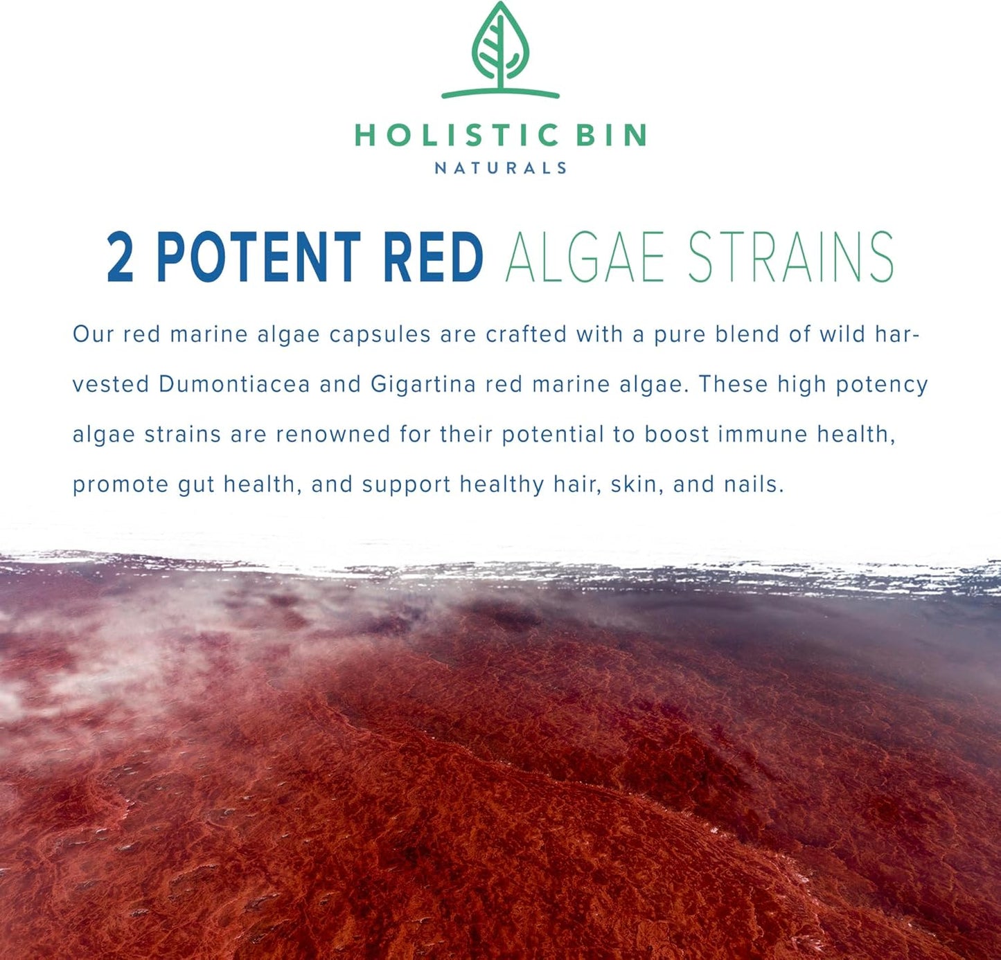 Vegan Red Marine Algae Capsules - Gluten Free, Wild Harvested with Omega 3 - 40 Capsules