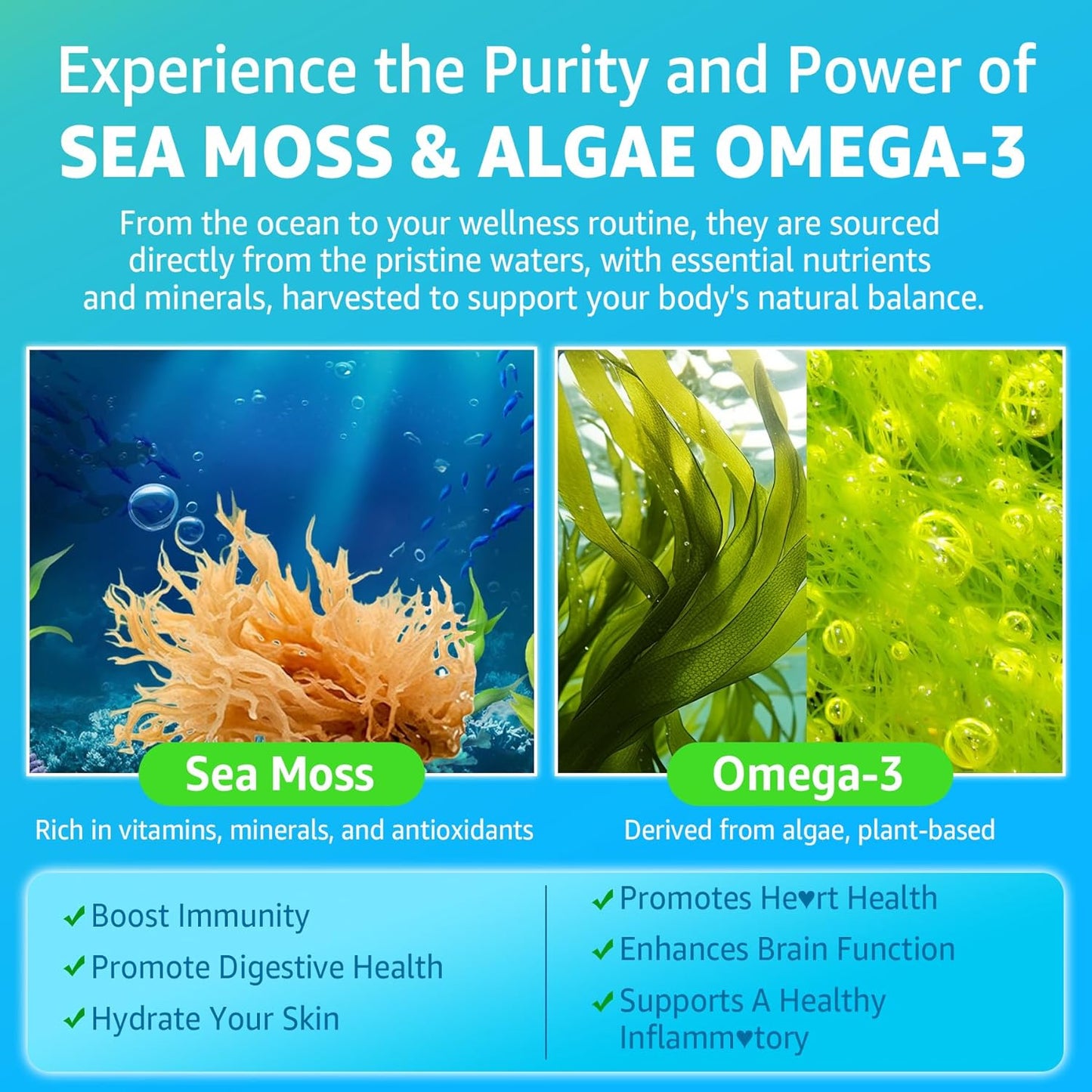 Vegan Sea Moss Gummies with Omega-3, Ashwagandha, Turmeric, Elderberry, Vitamins D3/B12, and More for Immunity and Energy Support - 120 Count