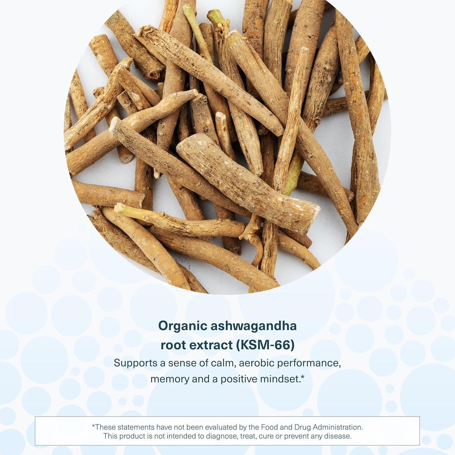 Vegan Stress Support Gummies with Ashwagandha, KSM-66, Ginger Extract, Blueberry - Low Sugar, Gluten-Free