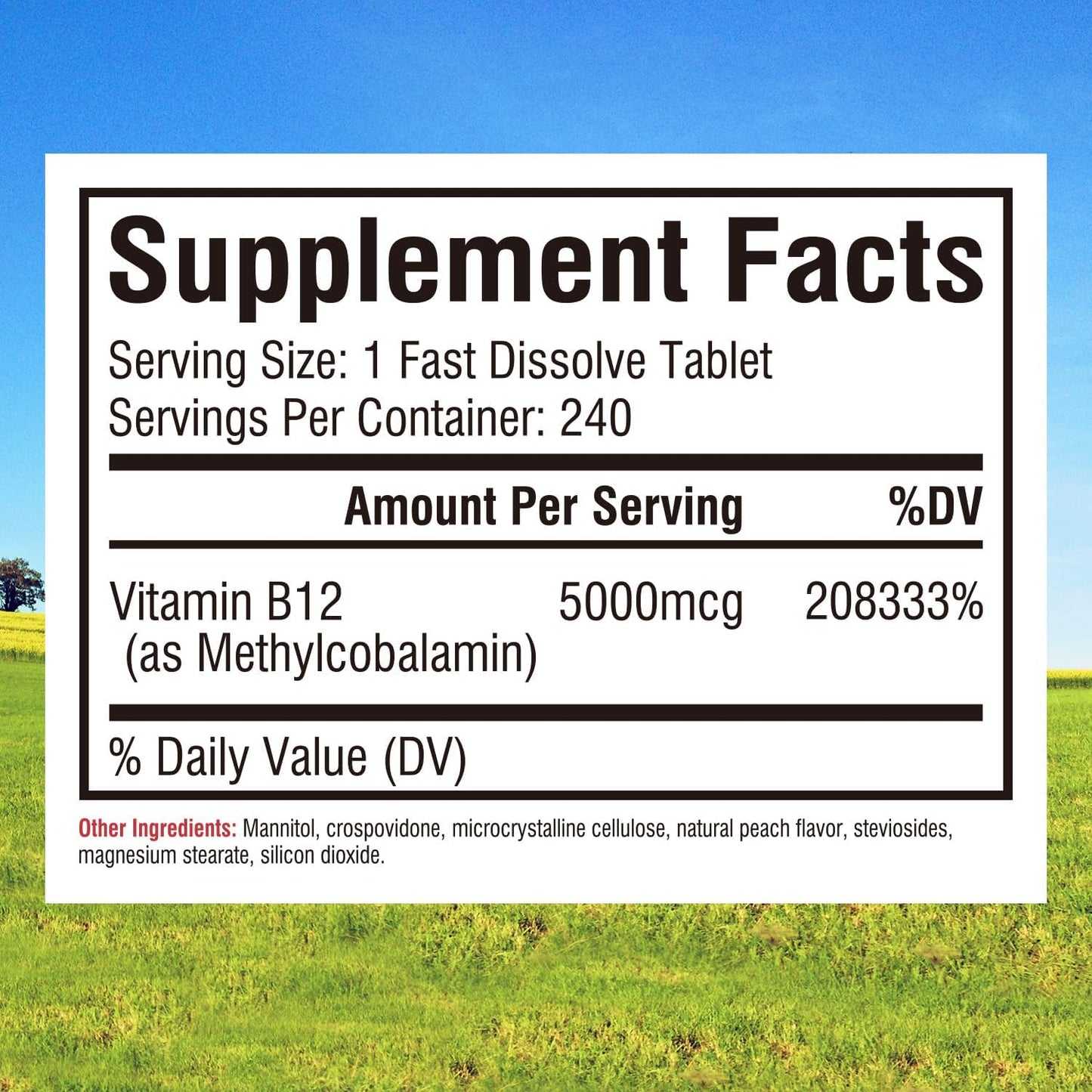 Vegan Sublingual Vitamin B12 5000mcg Tablets, Peach Flavor, Supports Energy & Nervous System, 240 Fast Dissolve Tablets