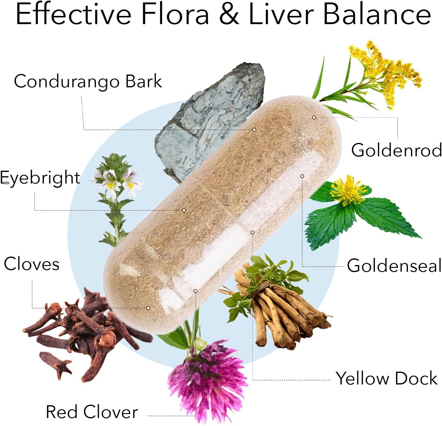 Vegetarian Candida Liver Care Supplement - 100 Capsules by Kroeger Herb - BoostGo Australia