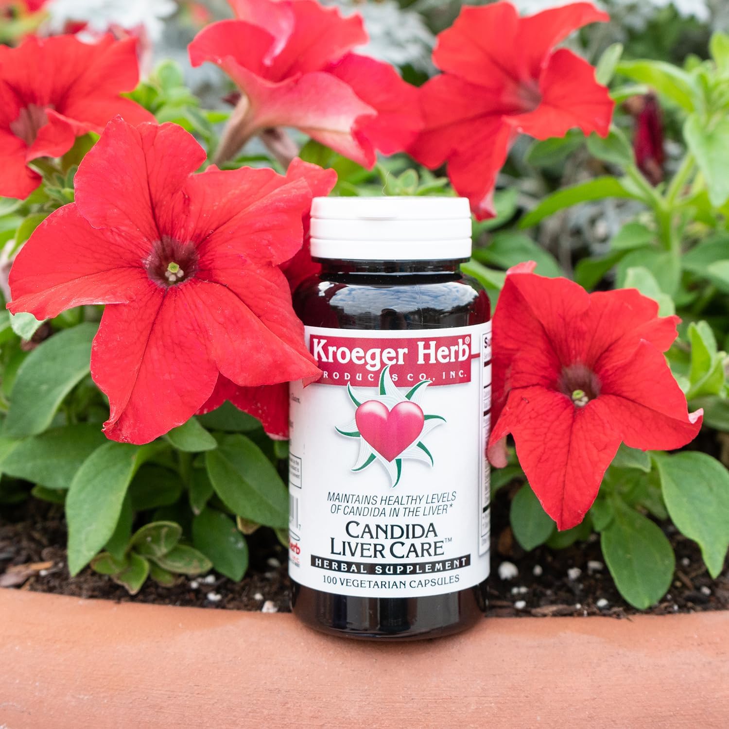 Vegetarian Candida Liver Care Supplement - 100 Capsules by Kroeger Herb - BoostGo Australia