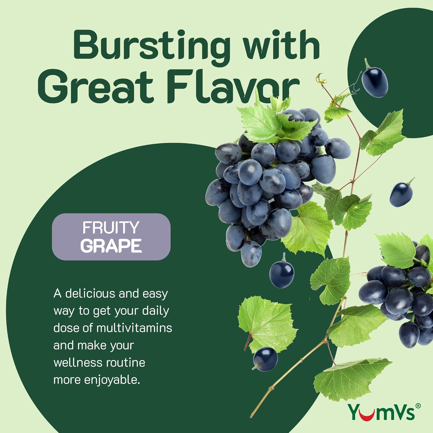 Vegetarian Kosher Multivitamin Gummies with Iron for Adults - Grape Flavor - Vitamin A C B6 B12 Biotin Zinc - No Calcium - Men/Women (60 Count) - BoostGo Australia