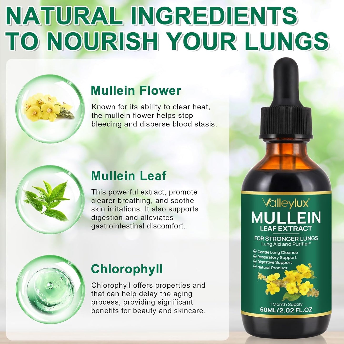 Vegetarian Mullein Leaf Extract Drops for Lung Health - Natural Cleanse Supplement - 2 FL OZ Bottle - BoostGo Australia