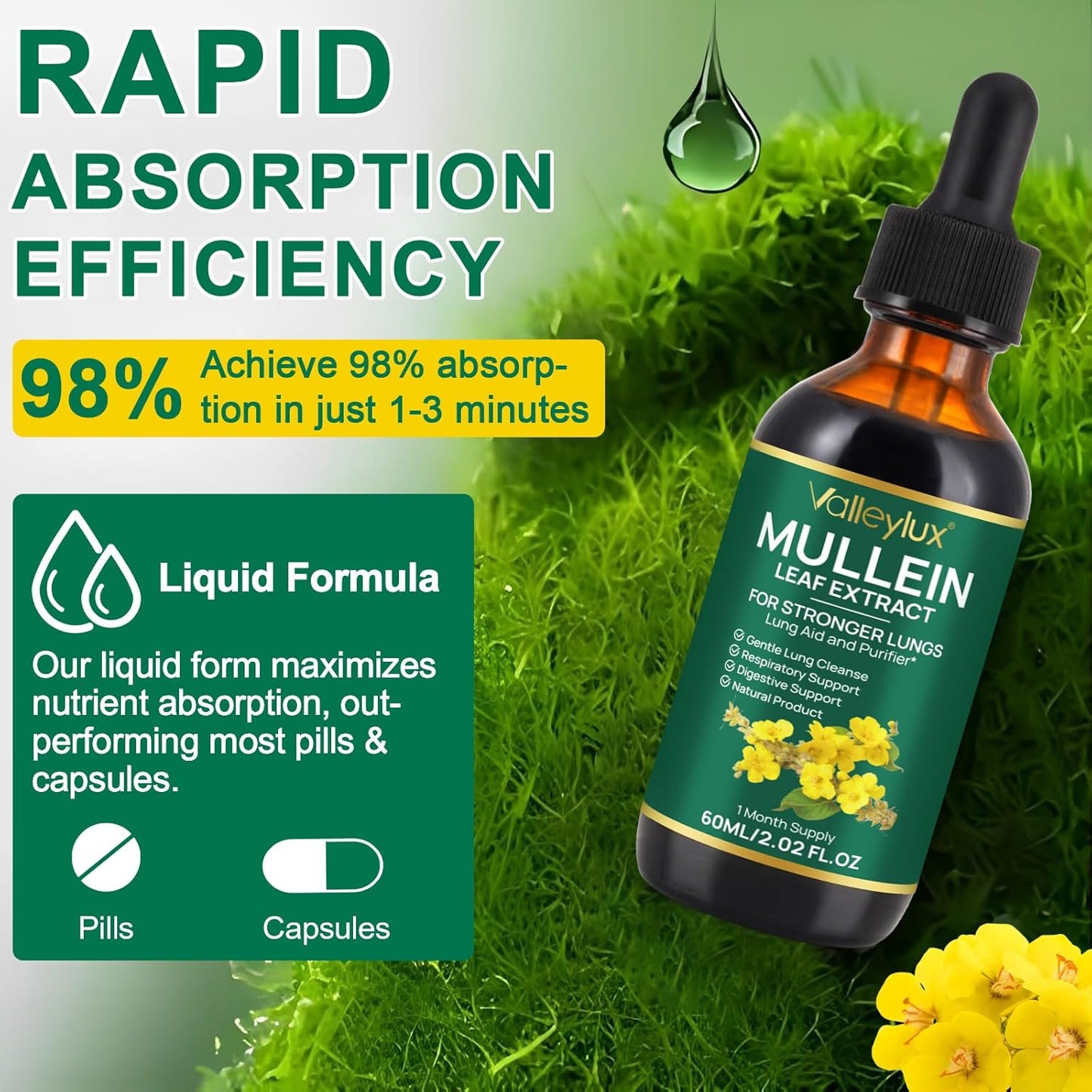 Vegetarian Mullein Leaf Extract Drops for Lung Health - Natural Cleanse Supplement - 2 FL OZ Bottle - BoostGo Australia